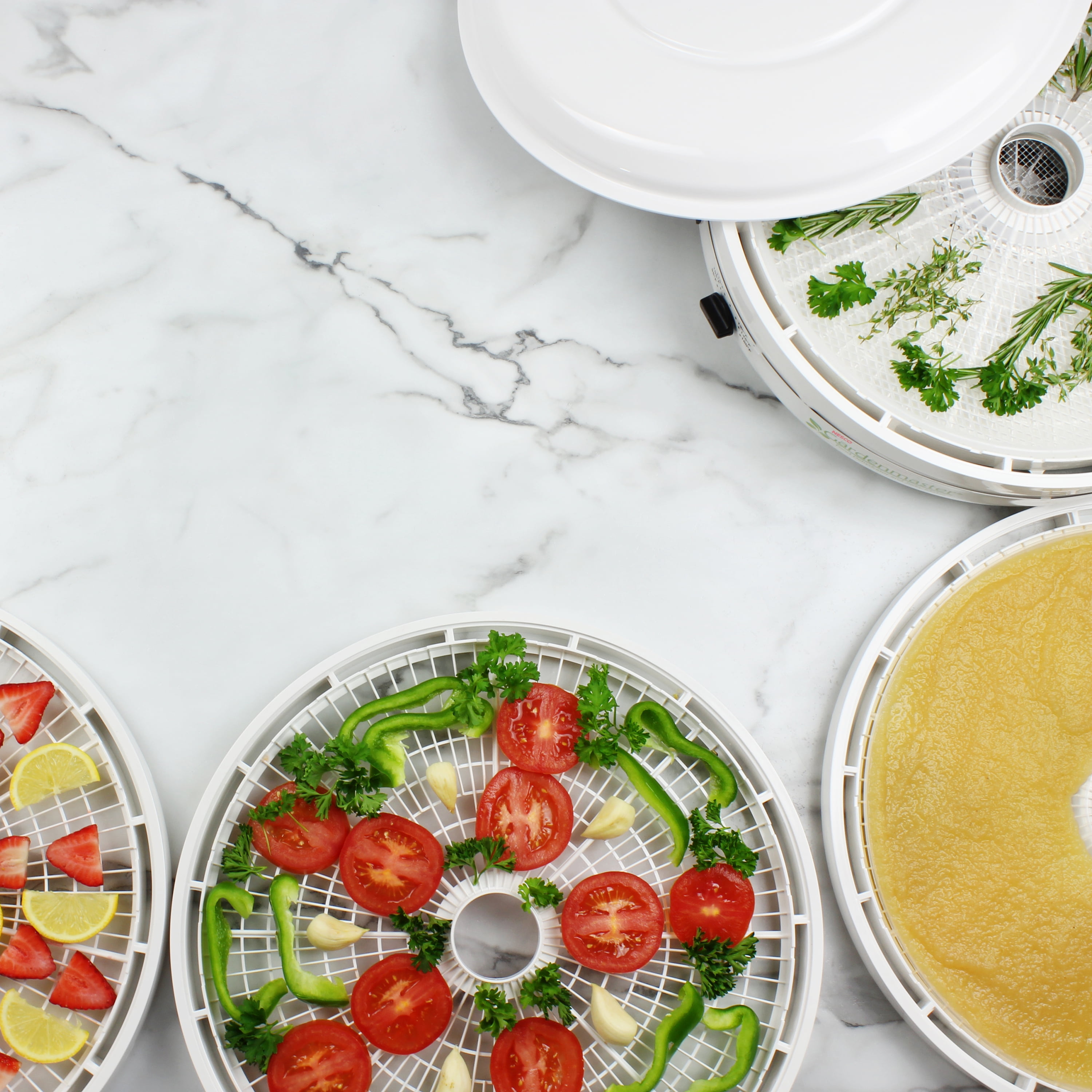 Nesco FD-1010 Gardenmaster Pro Food Dehydrator - Image 4