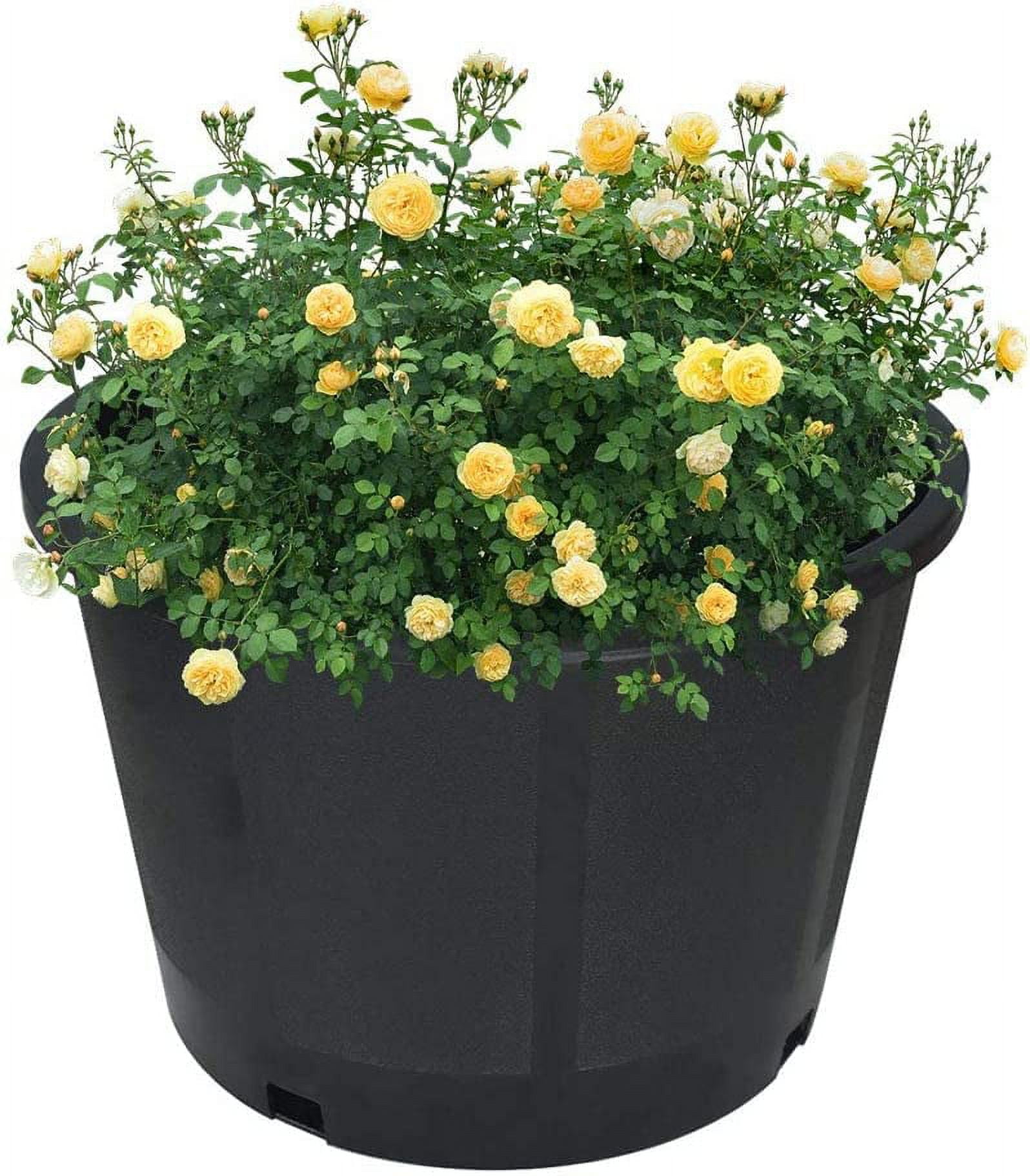 1/2/3/5/7/10/15gallon Heavy Duty Large Premium Nursery Pot Root Garden Container - Image 5