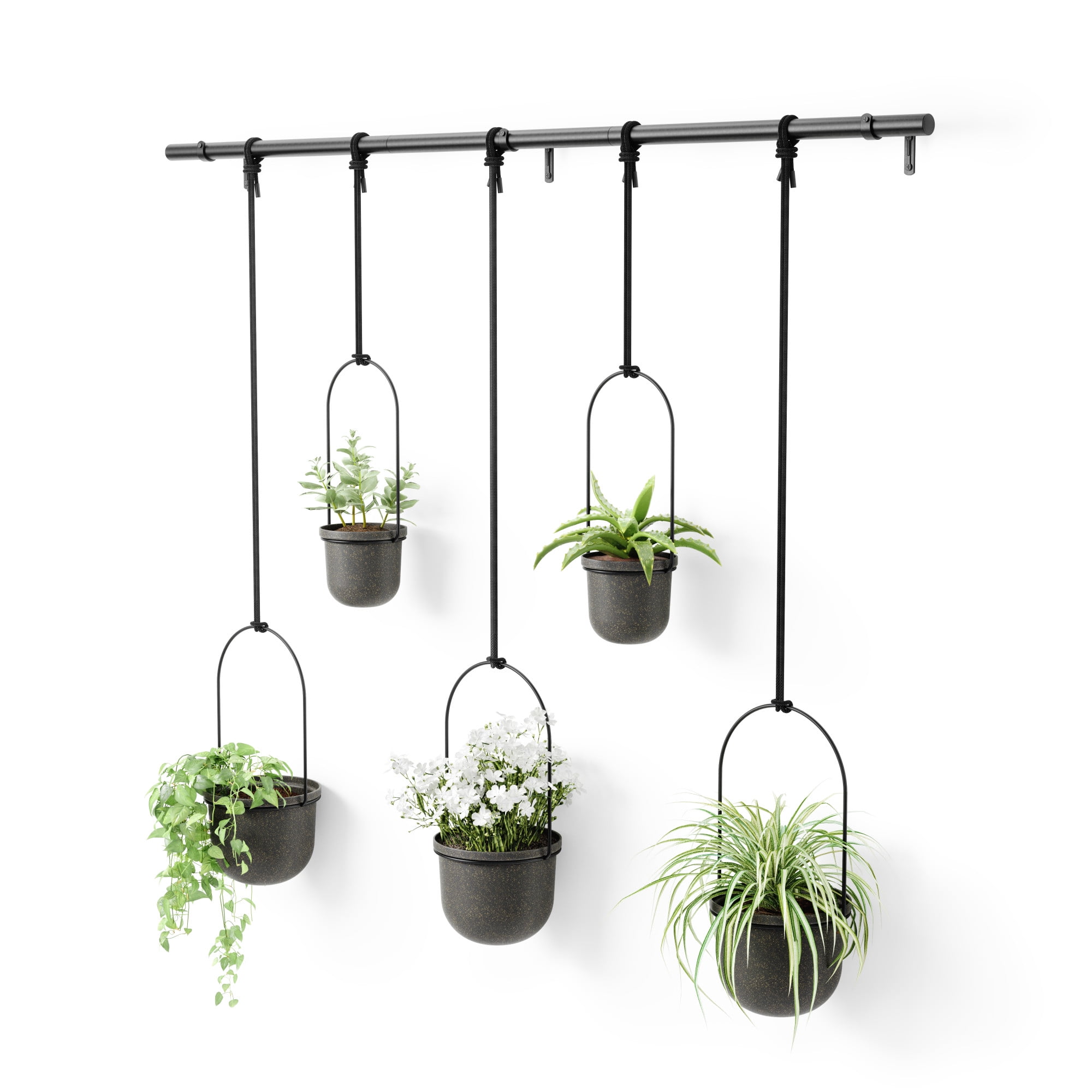 Umbra Triflora Hanging Planter Set of 5 Black - Image 10