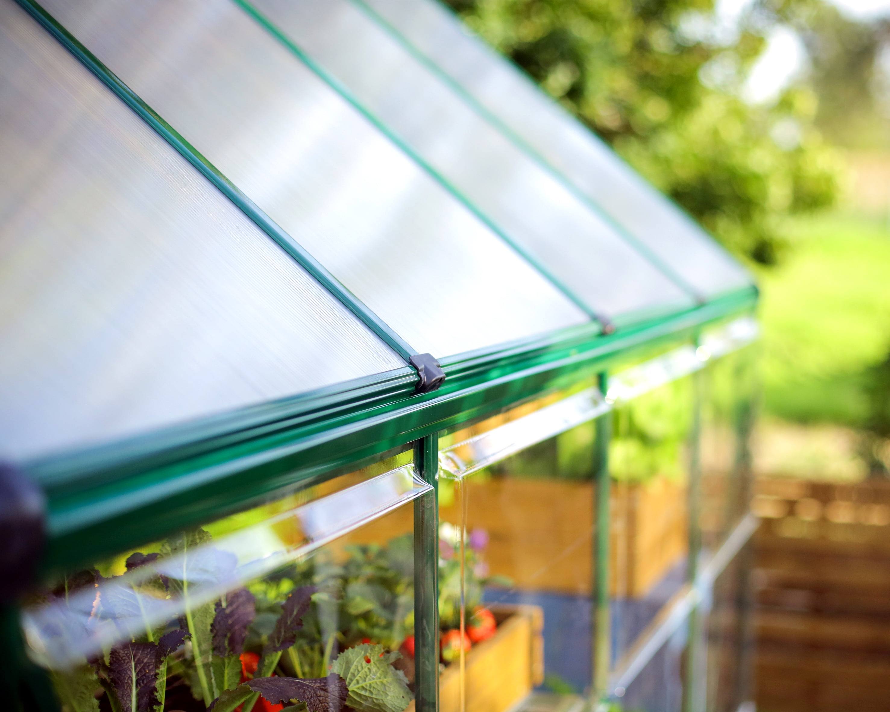 Palram - Canopia Hybrid 6' x 4' Polycarbonate/Aluminum Walk-In Greenhouse – Green - with Roof Vent - Image 3