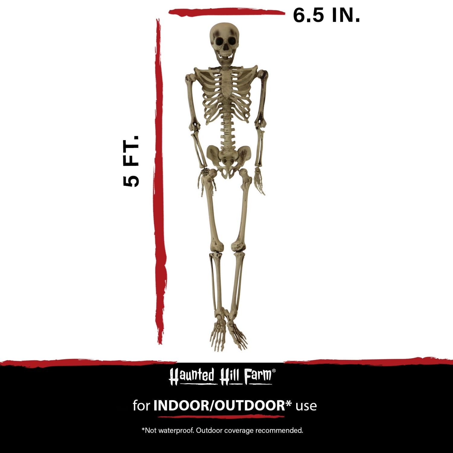 Life-Size 5 ft Skeleton Prop, Indoor/Covered Outdoor Halloween Decoration, HHSKEL-8HA - Image 7