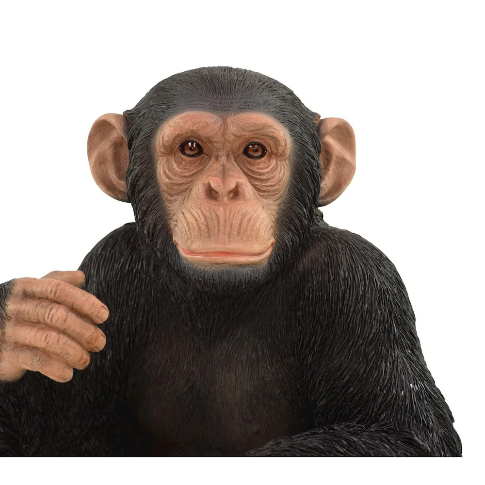 Monkey Sitting - Image 5