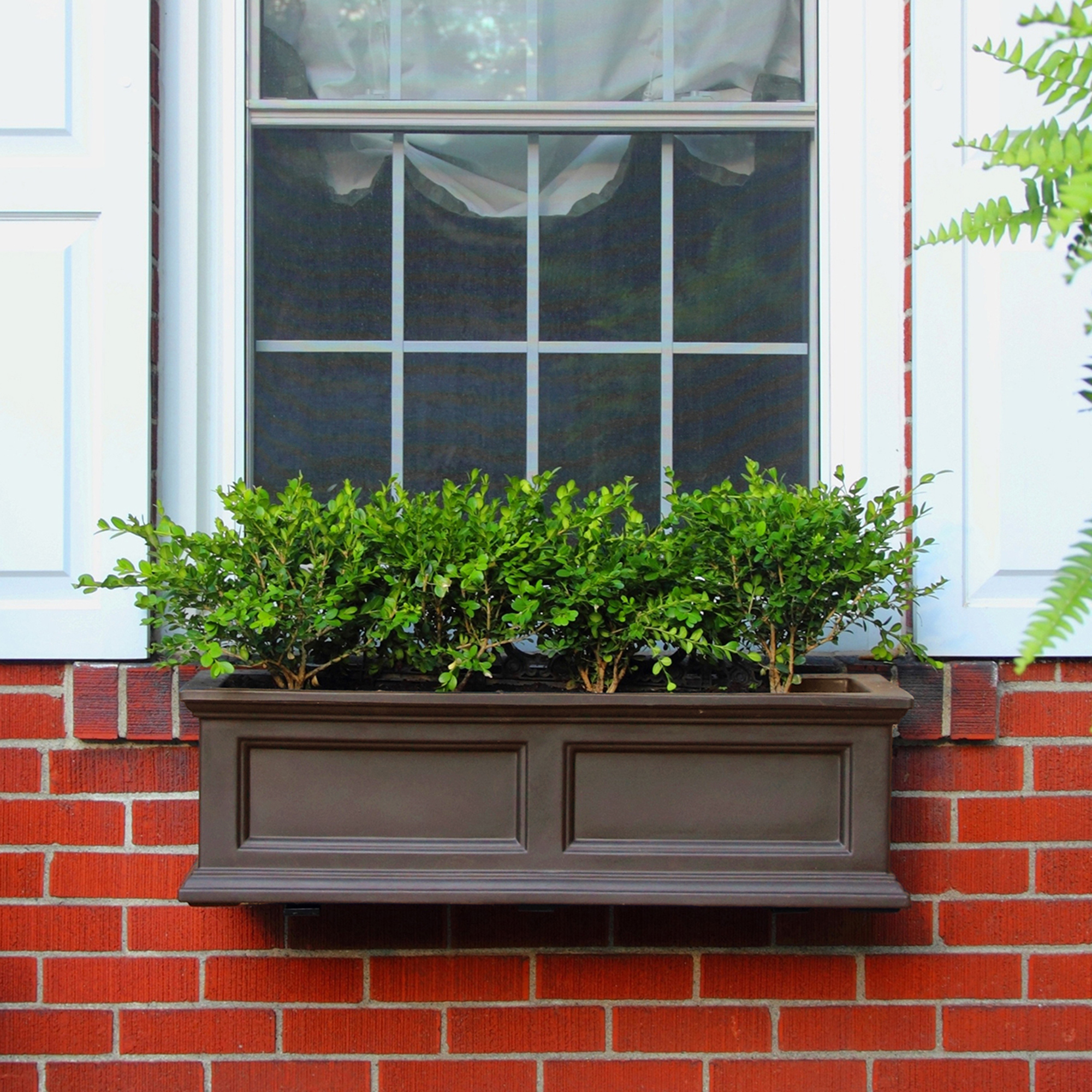 Mayne Fairfield 36" x 11" x 11" Rectangular Espresso Self Watering Plastic Window Box Planter - Image 2