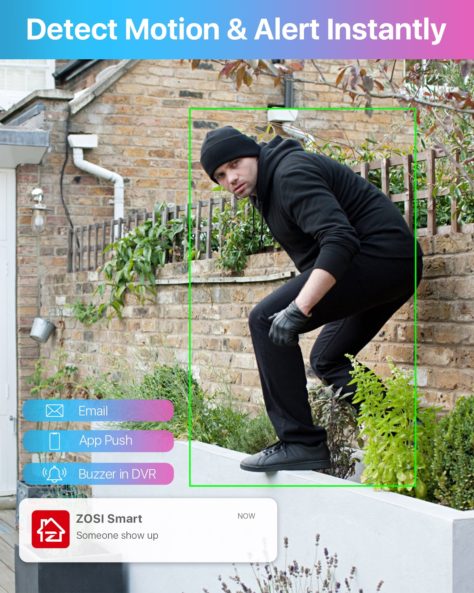 ZOSI 3K Lite H.265+ Home Security Camera System,5MP Lite 8 Channel Surveillance DVR and 4 x 1080p Weatherproof CCTV Dome Camera Outdoor Indoor with 80ft Night Vision, Motion Alerts, NO Hard Drive - Image 3