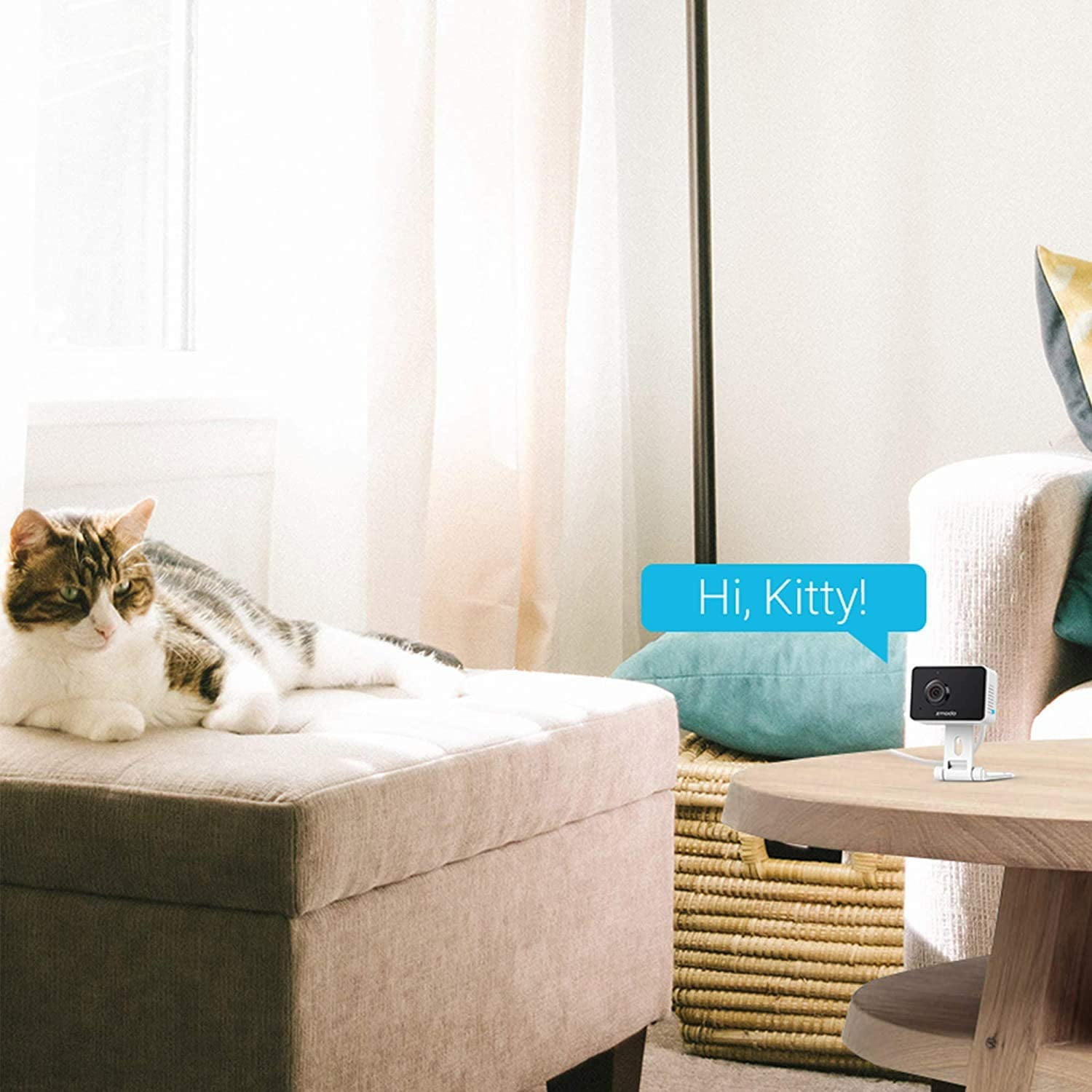 Zmodo WiFi Indoor & Outdoor Camera Bundle 4 Pack, 1080p HD, Motion Detection, 2-Way Talk, Night Vision, Remote View - Image 6