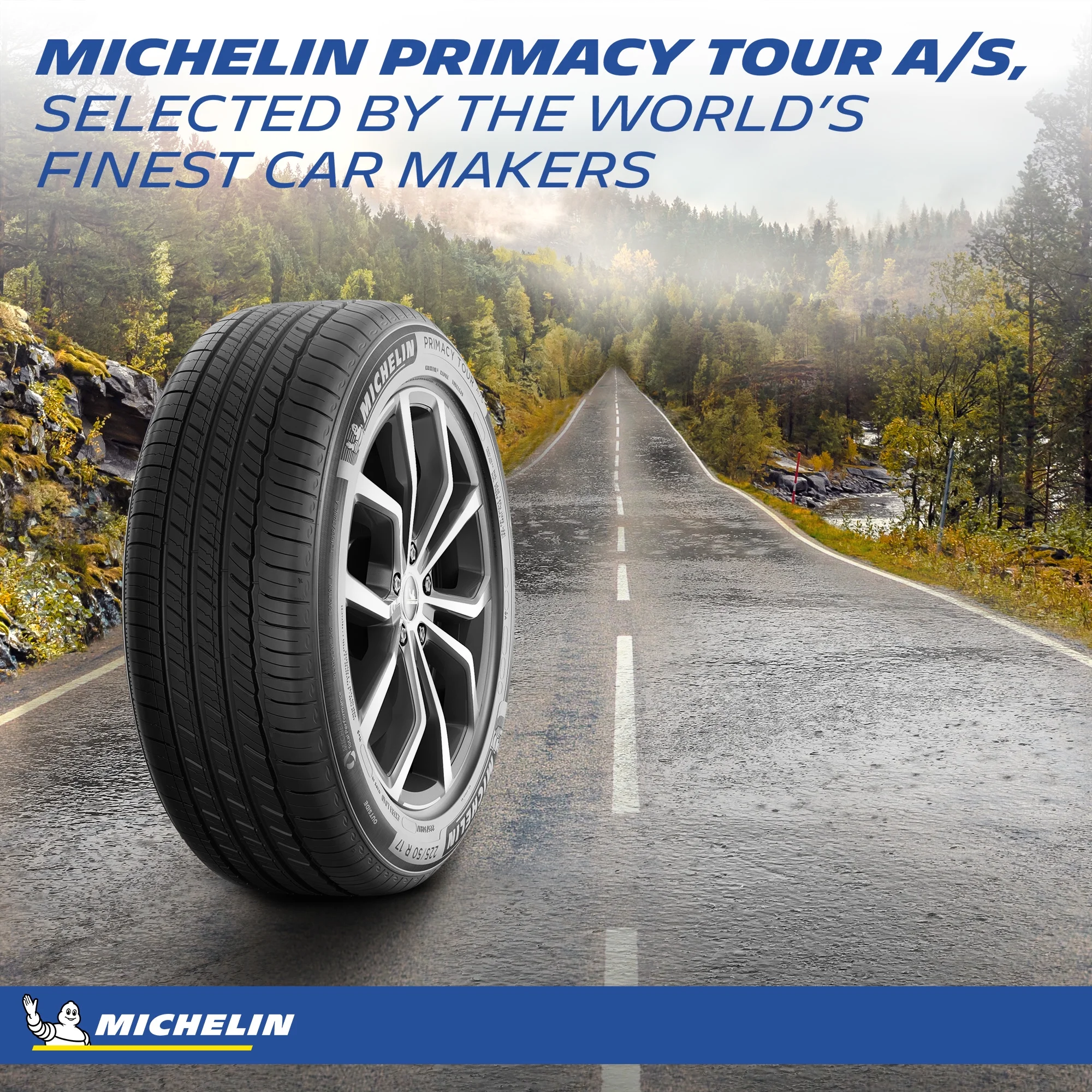 Michelin Primacy All Season All-Season 225/65R17 102H Tire - Image 7
