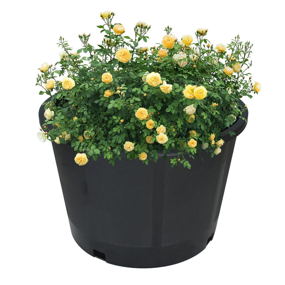 10Pcs Black 5 Gallon Circular Short Seedling Pots Plastic Plant Pots Seedling Cups Nursery Pots Plant Containers - Image 5