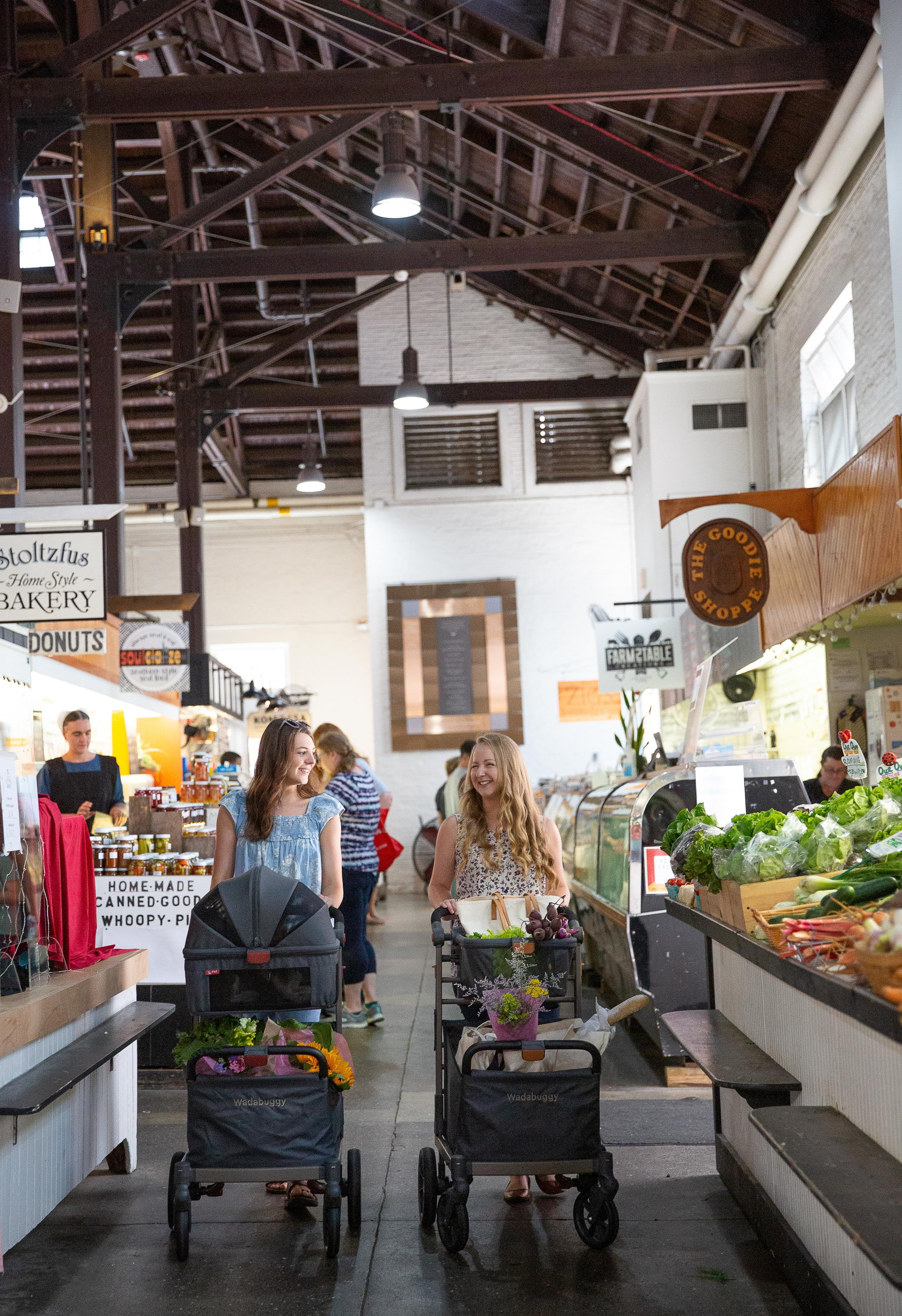 Wadabuggy Premium Shopping Cart, 2 Storage Baskets, Compact Fold, 2 Drink Holders, Zipper Pocket, Adult, Gray - Image 7