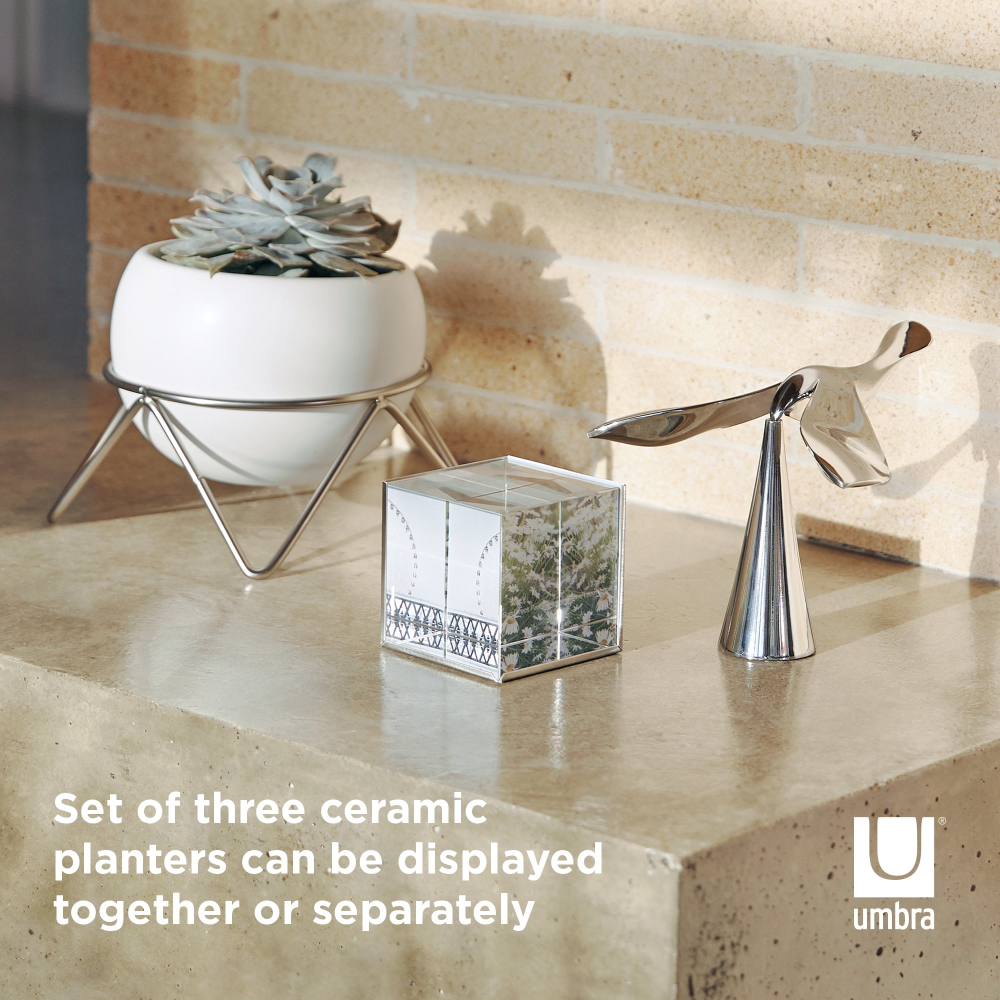 Umbra 6" x 6" x 5" Round White Ceramic Plant Planter (3 Pack) - Image 5