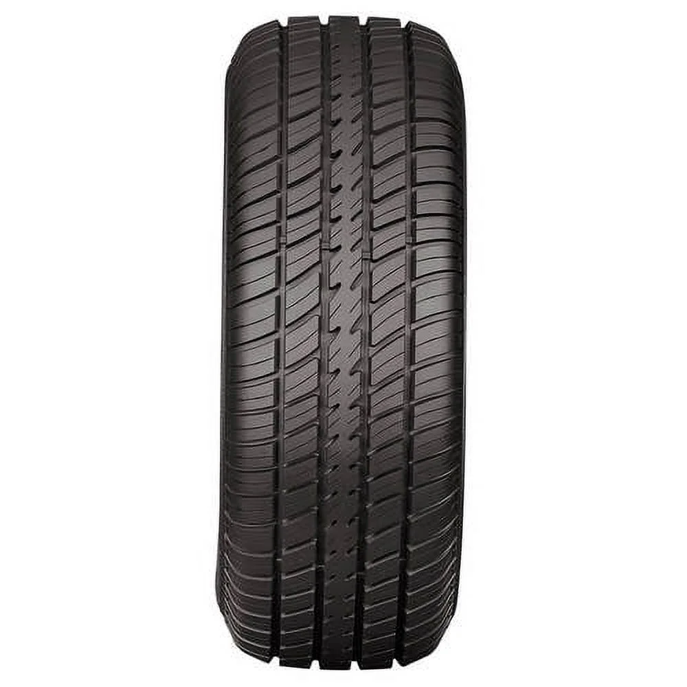 Cooper Cobra Radial G/T All Season P215/70R14 96T Passenger Tire - Image 4