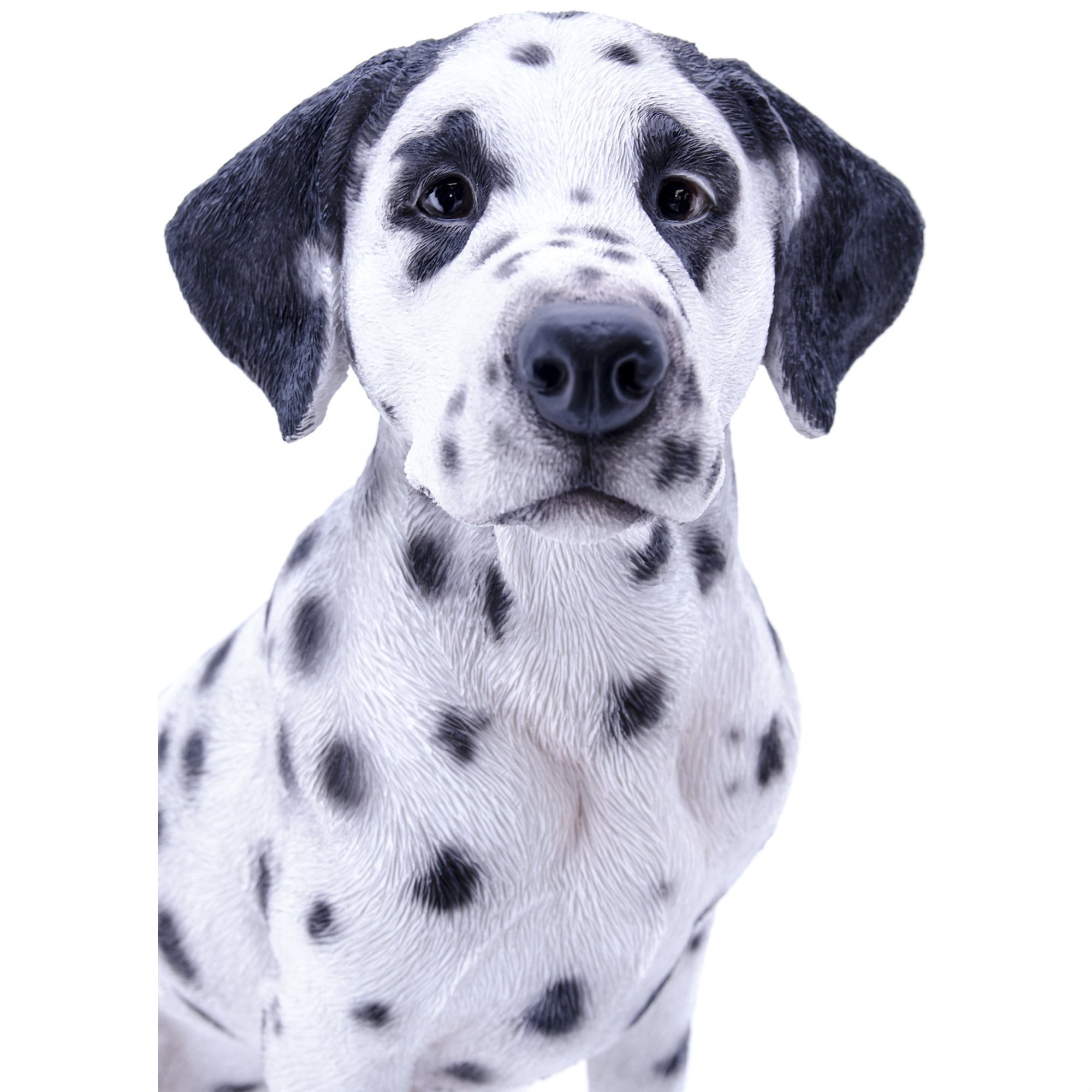 Hi-Line Gift Ltd Sitting Dalmation Dog, 20.5-inch Height - Image 2