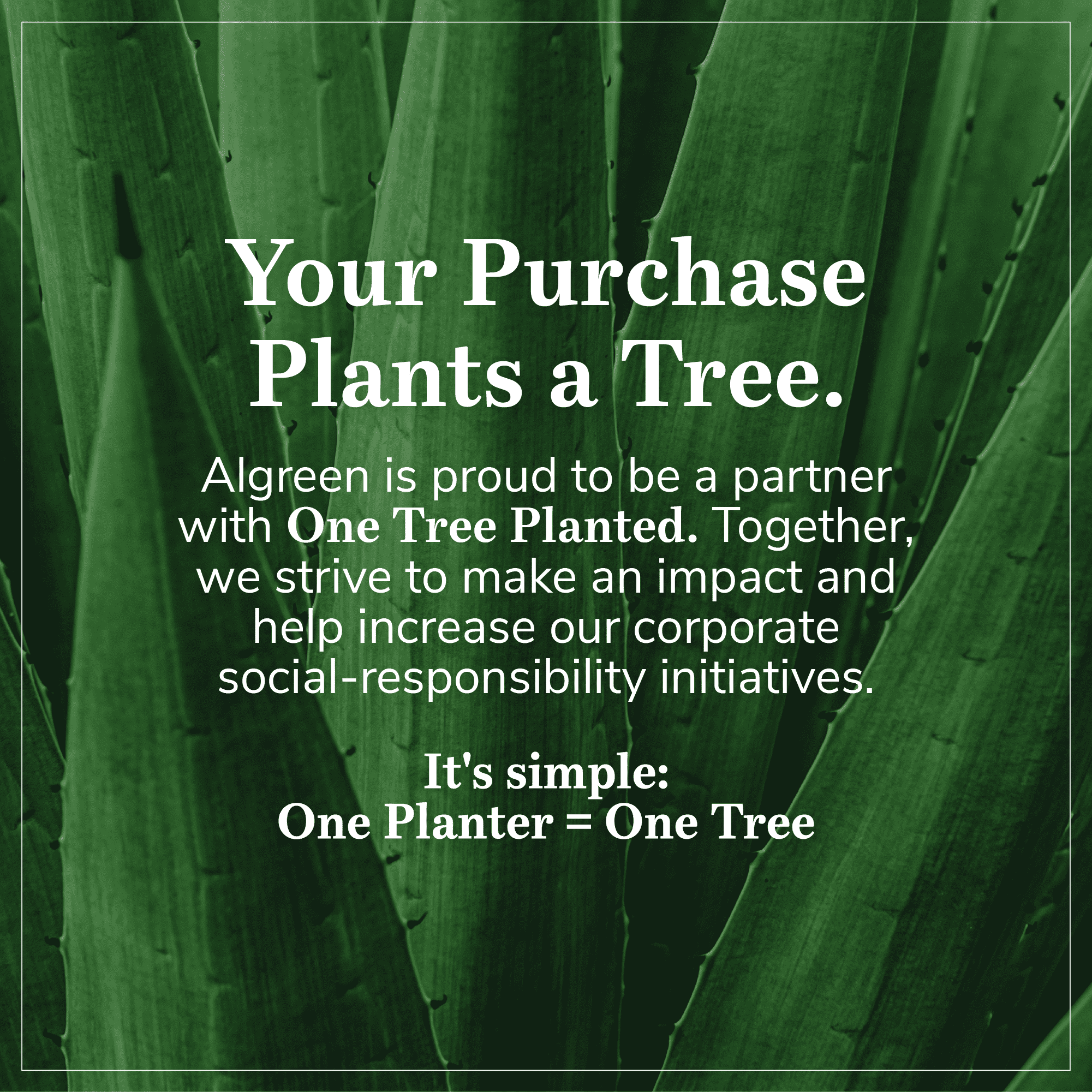 Algreen Products Athena 28.5" Self-Watering Flower Pot & Planter, Charcoal - Image 7