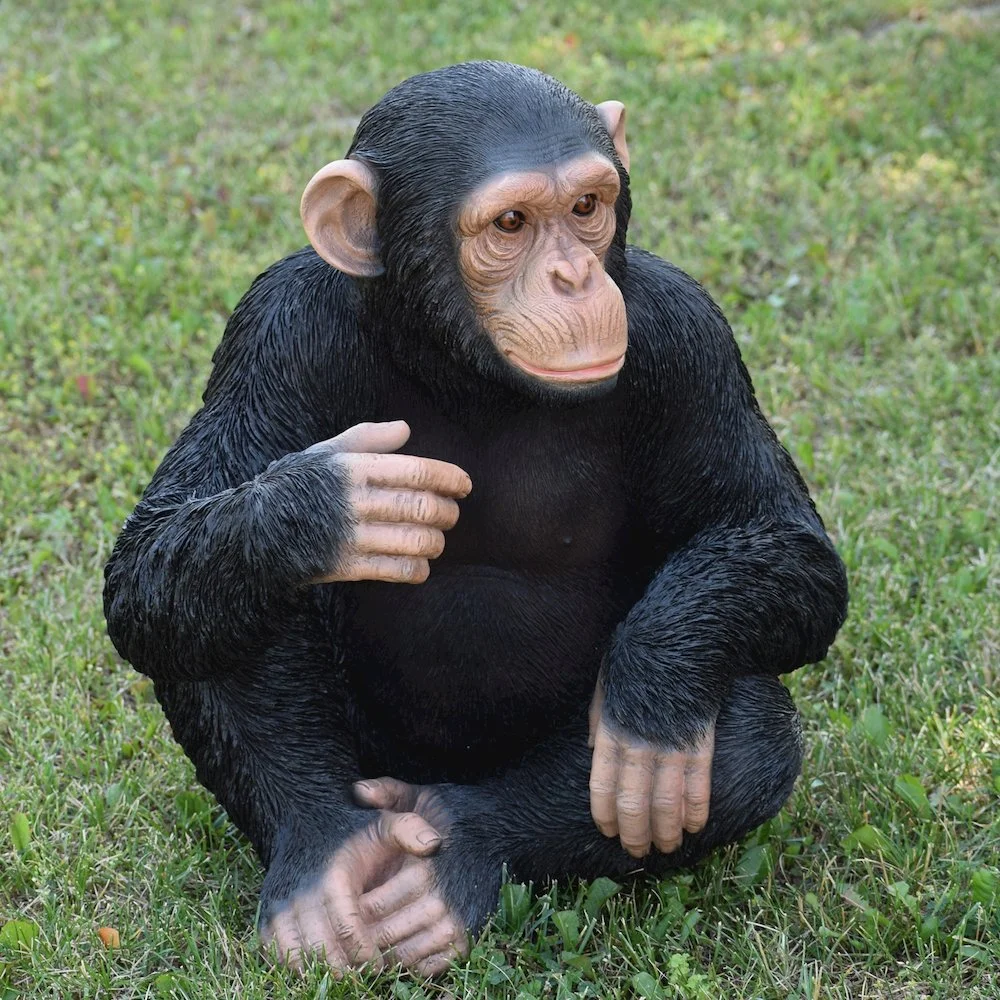 Monkey Sitting - Image 3