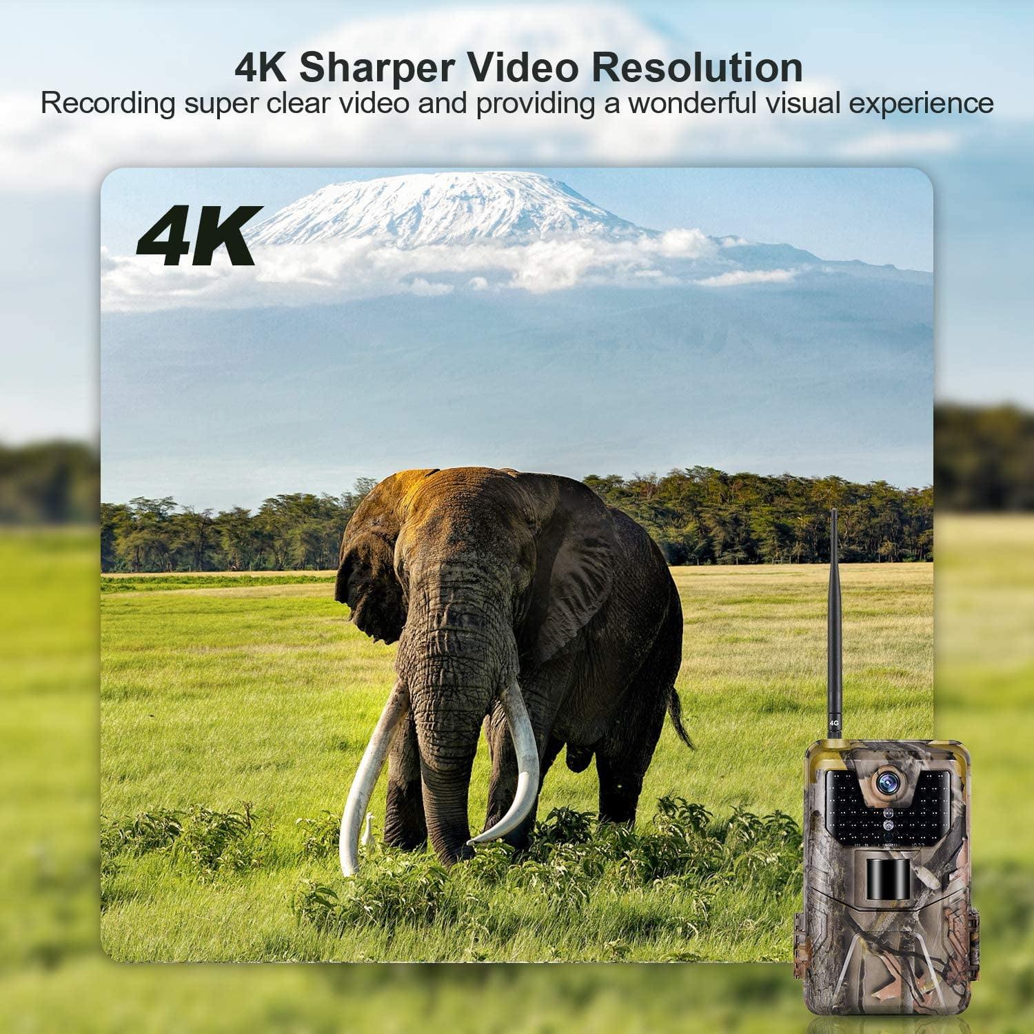 SuntekCam 4G Cellular Trail Camera - 36MP 4K Wildlife Hunting Cameras With Night Vision APP Control - Image 7