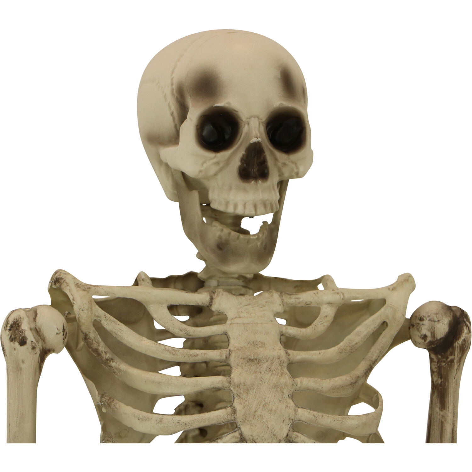 Life-Size 5 ft Skeleton Prop, Indoor/Covered Outdoor Halloween Decoration, HHSKEL-8HA - Image 10