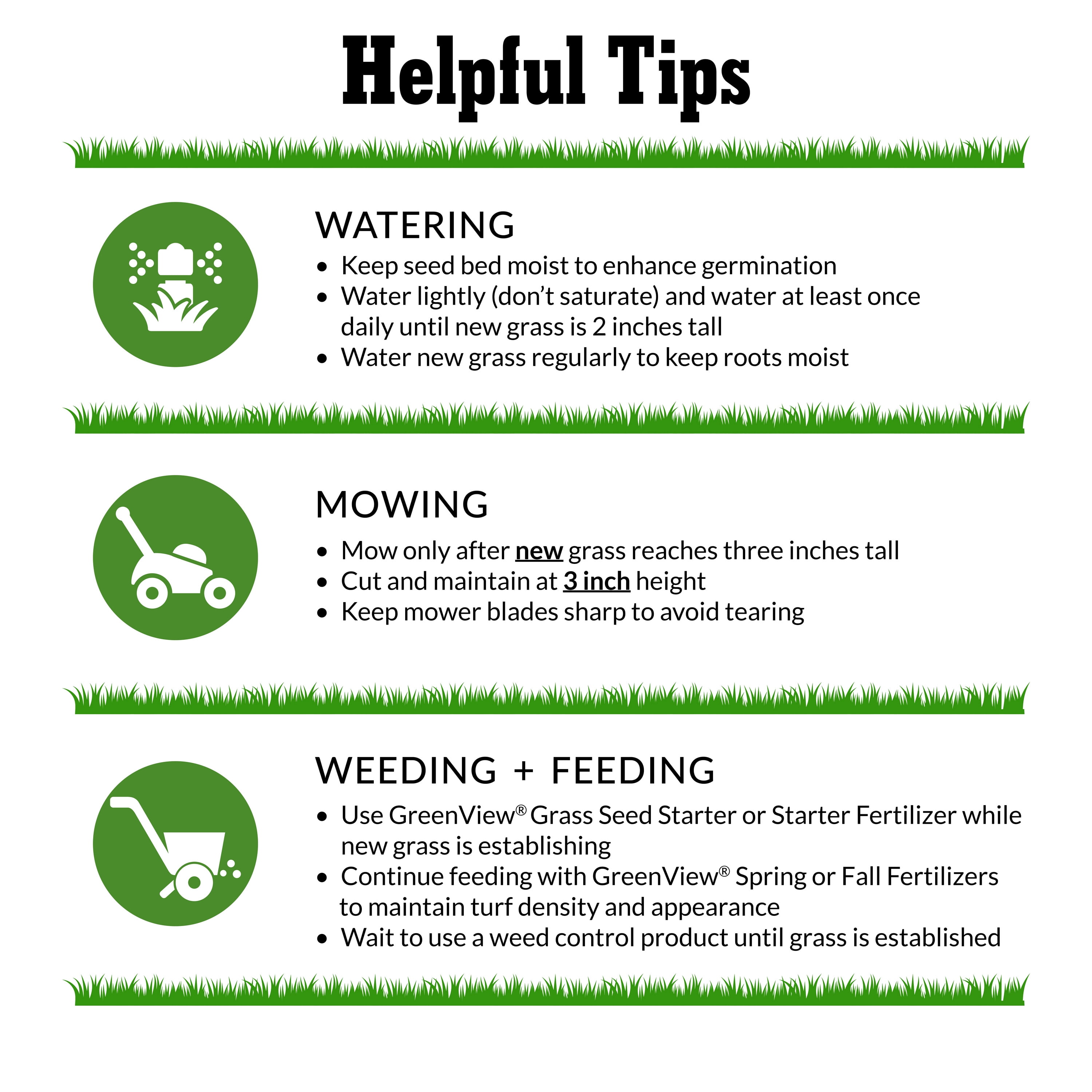 GreenView Pure Grass Seed Dense Shade Mixture, 20 lb. Bag – Covers up to 10,000 sq. ft. - Image 5