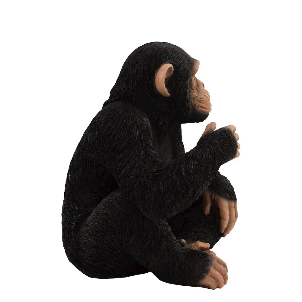Monkey Sitting - Image 4