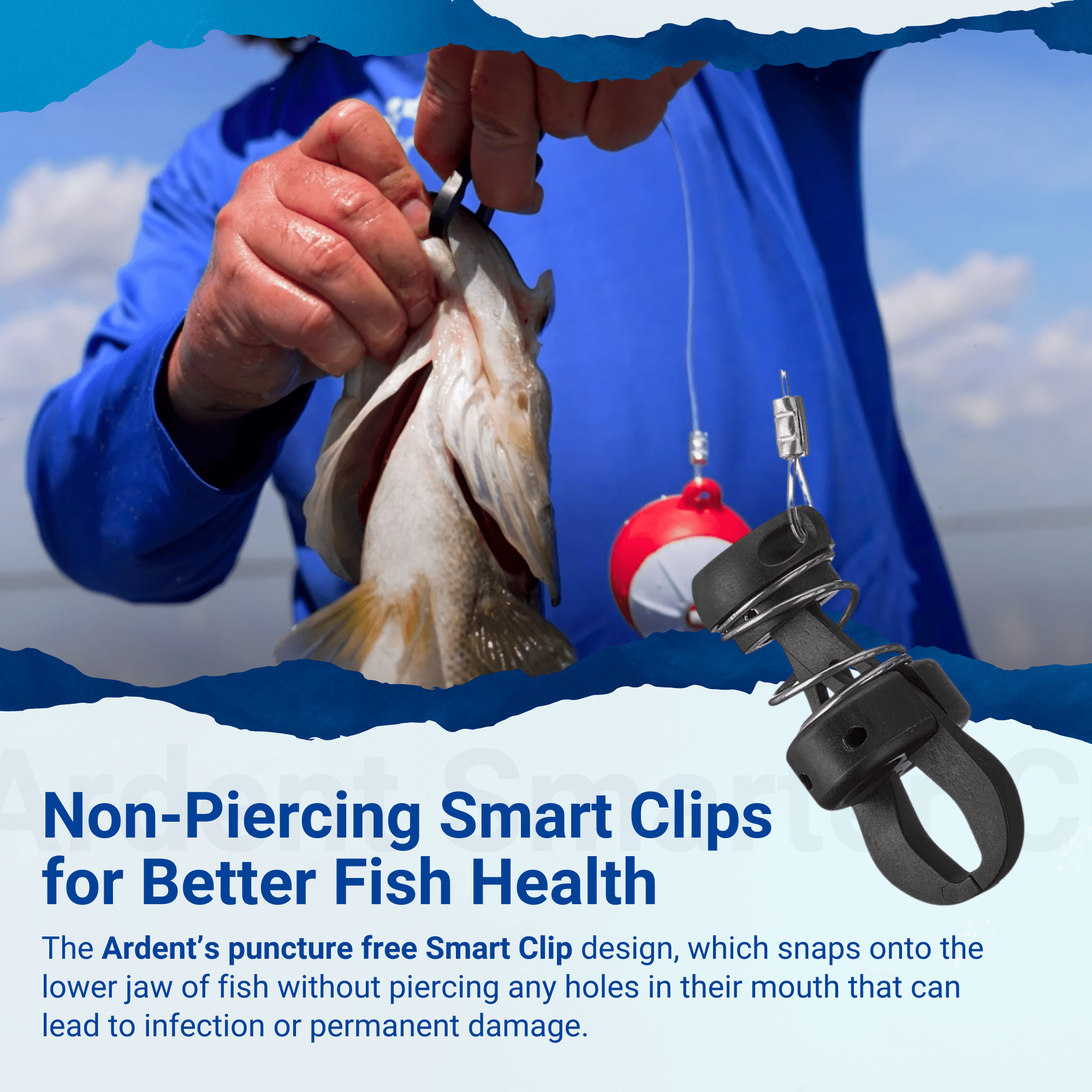 Ardent Smarter Cull, 6-Ball 2-Stage Culling Balls with Smart Clips, Quick and Easy to Use, Reduce Fish Stress and Injury, Bass Fishing Accessories and Supplies, Made in the USA - Image 5