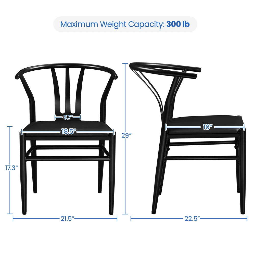 Alden Design Dining Chair, Set of 2, Black - Image 4