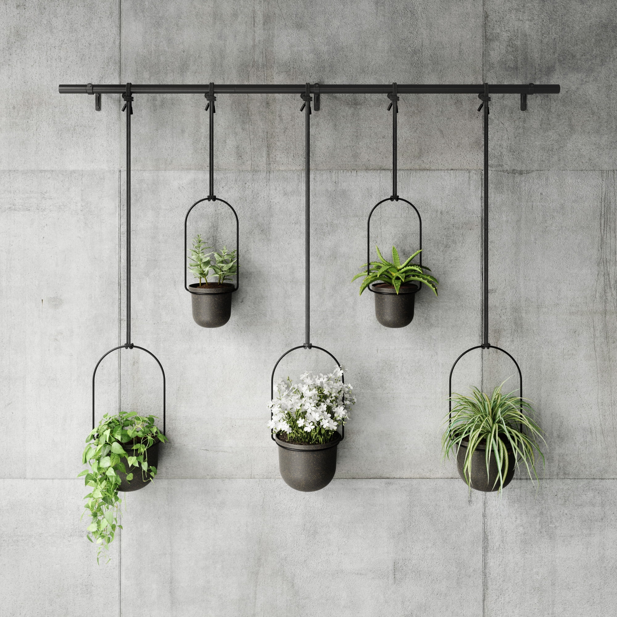 Umbra Triflora Hanging Planter Set of 5 Black - Image 7