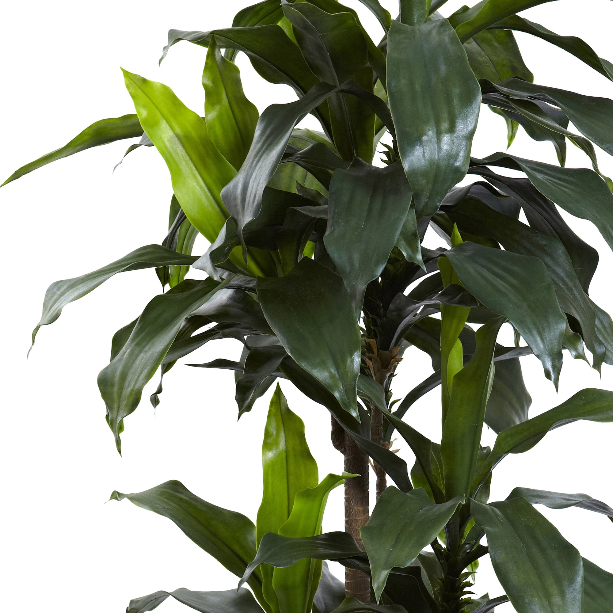 Nearly Natural 5' Dracaena Plastic Artificial Plant UV Resistant (Indoor/Outdoor), Green - Image 3