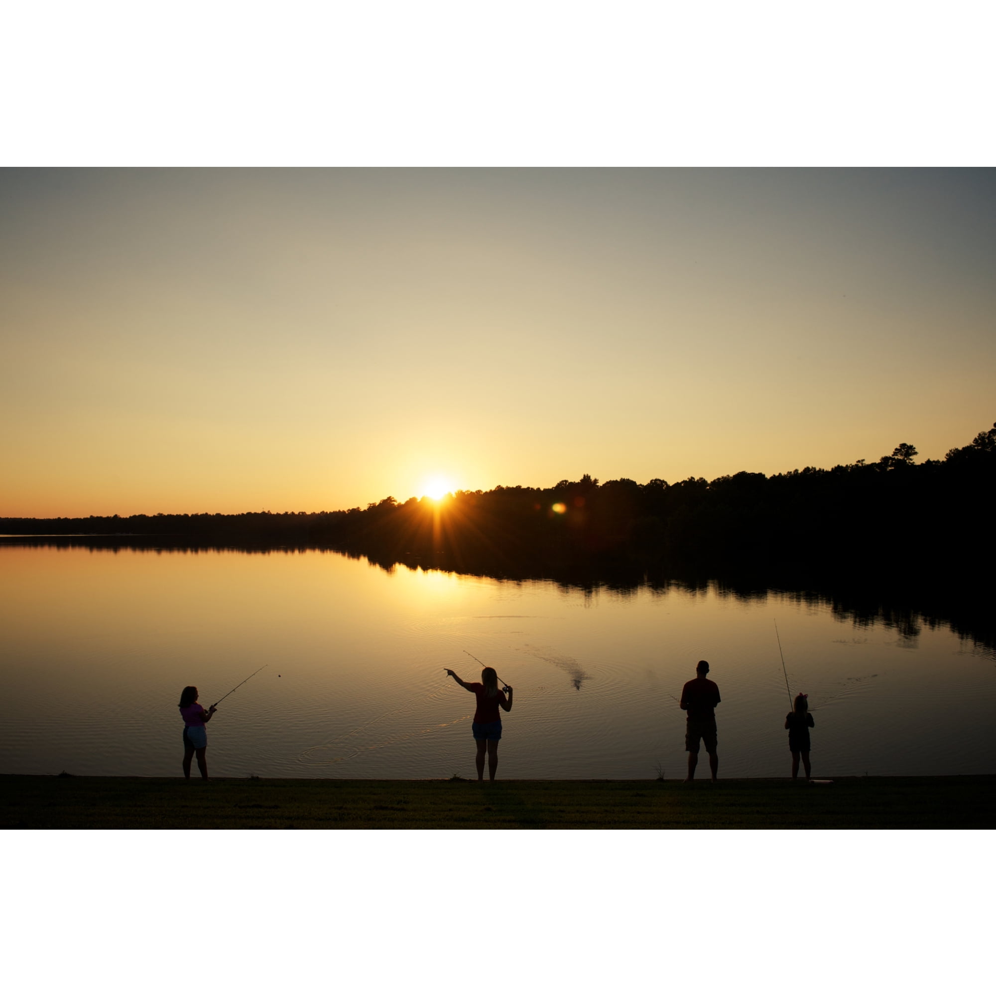 Shakespeare Sturdy Stik Bigwater Casting Rod, 6' Medium Fishing Rod - Image 4