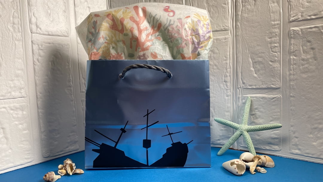 Brother SP1 High-Quality Wireless Sublimation Printer with Paper & Full-Size Inks - Image 13