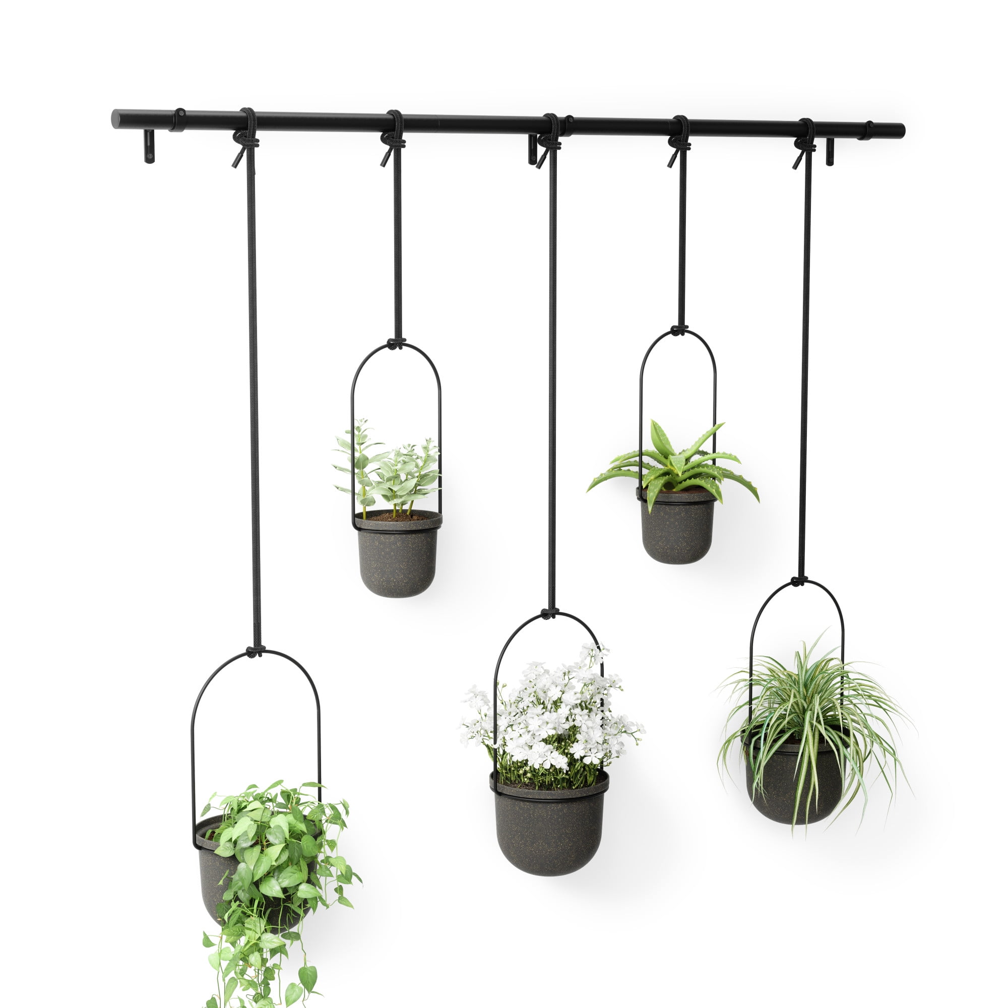 Umbra Triflora Hanging Planter Set of 5 Black - Image 5