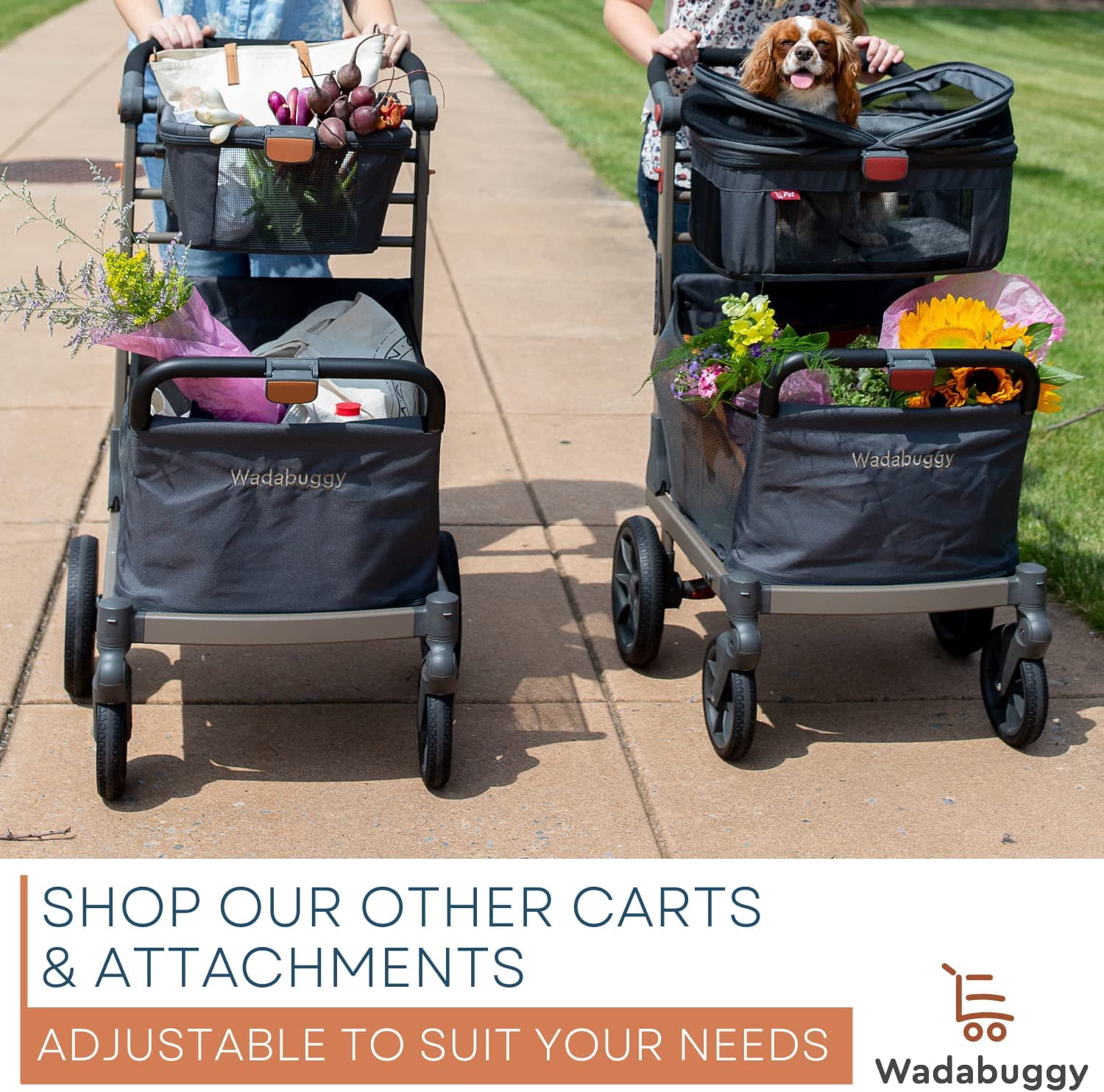 Wadabuggy Premium Shopping Cart, 2 Storage Baskets, Compact Fold, 2 Drink Holders, Zipper Pocket, Adult, Gray - Image 5