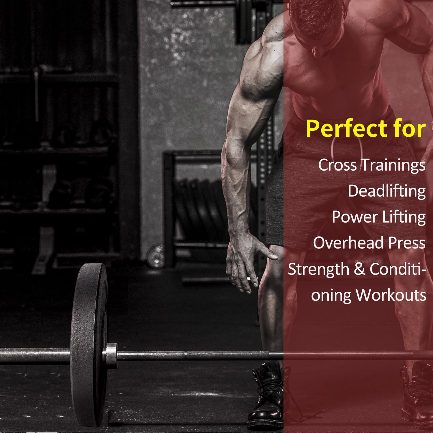 XPRT Fitness Olympic Crumb Rubber Bumper Plate 10 lb. PAIR - Weight Lifting Plate for Cross Training, Olympic Lifting, Power lifting, Strength & Conditioning, Fits 2" Diameter Barbell - Image 4