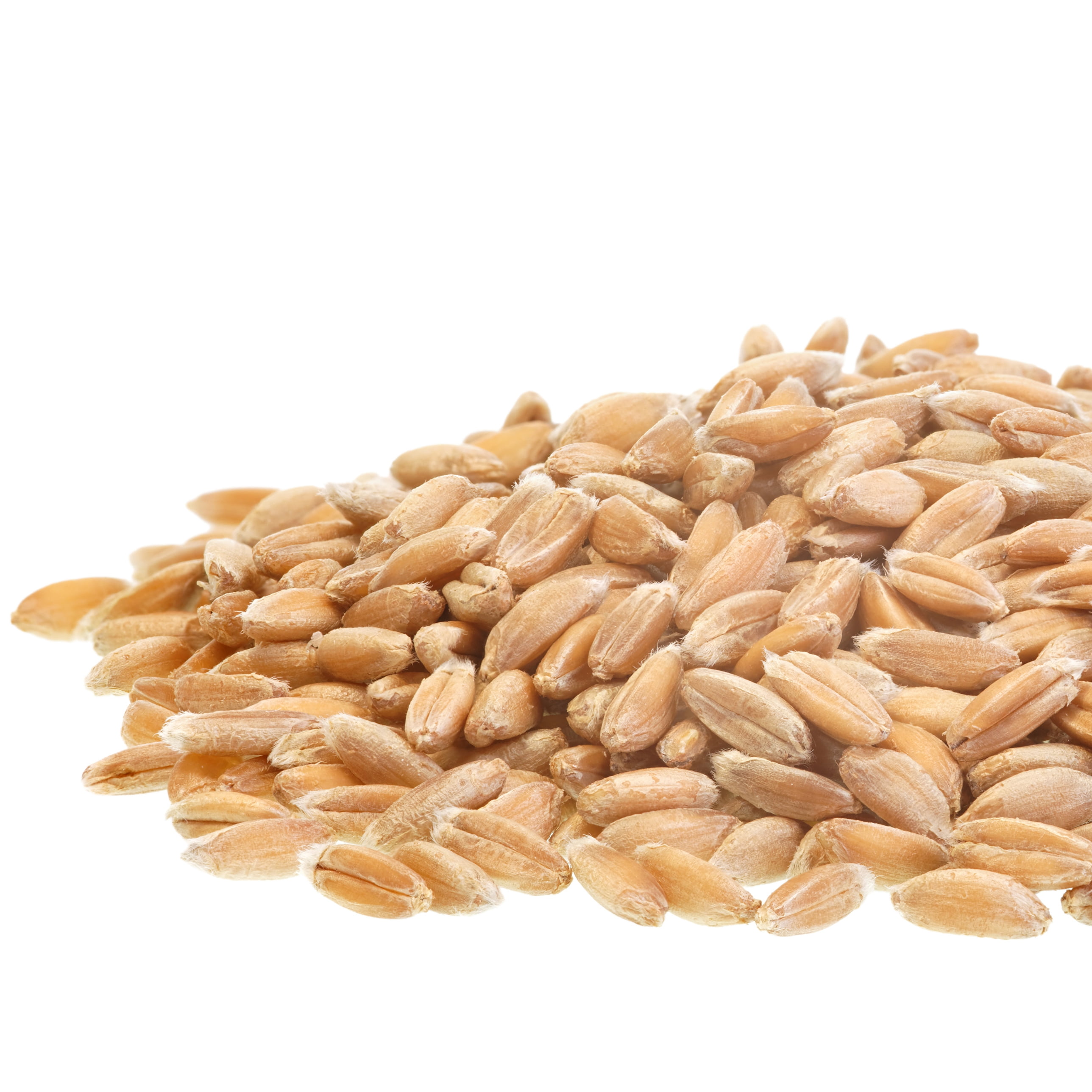 (2 pack) (2 pack) Augason Farms Hard White Wheat Emergency Food Storage 4 Gallon Pail - Image 5