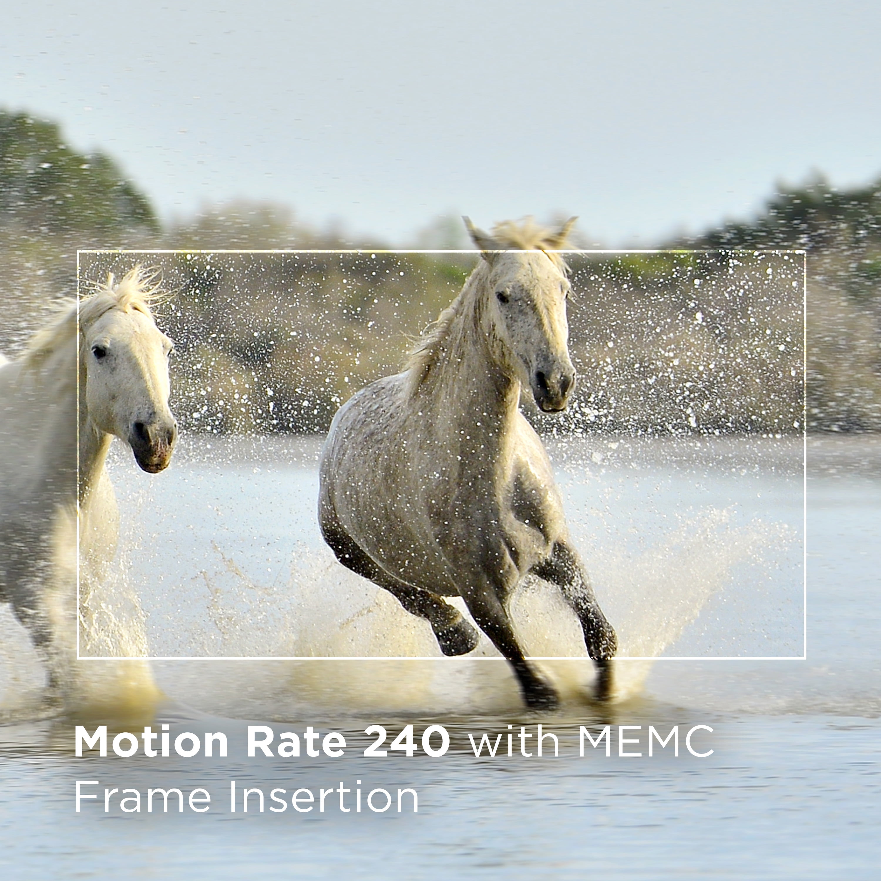 TCL 55” Class S Class 4K UHD HDR LED Smart TV with Google TV, 55S450G - Image 8