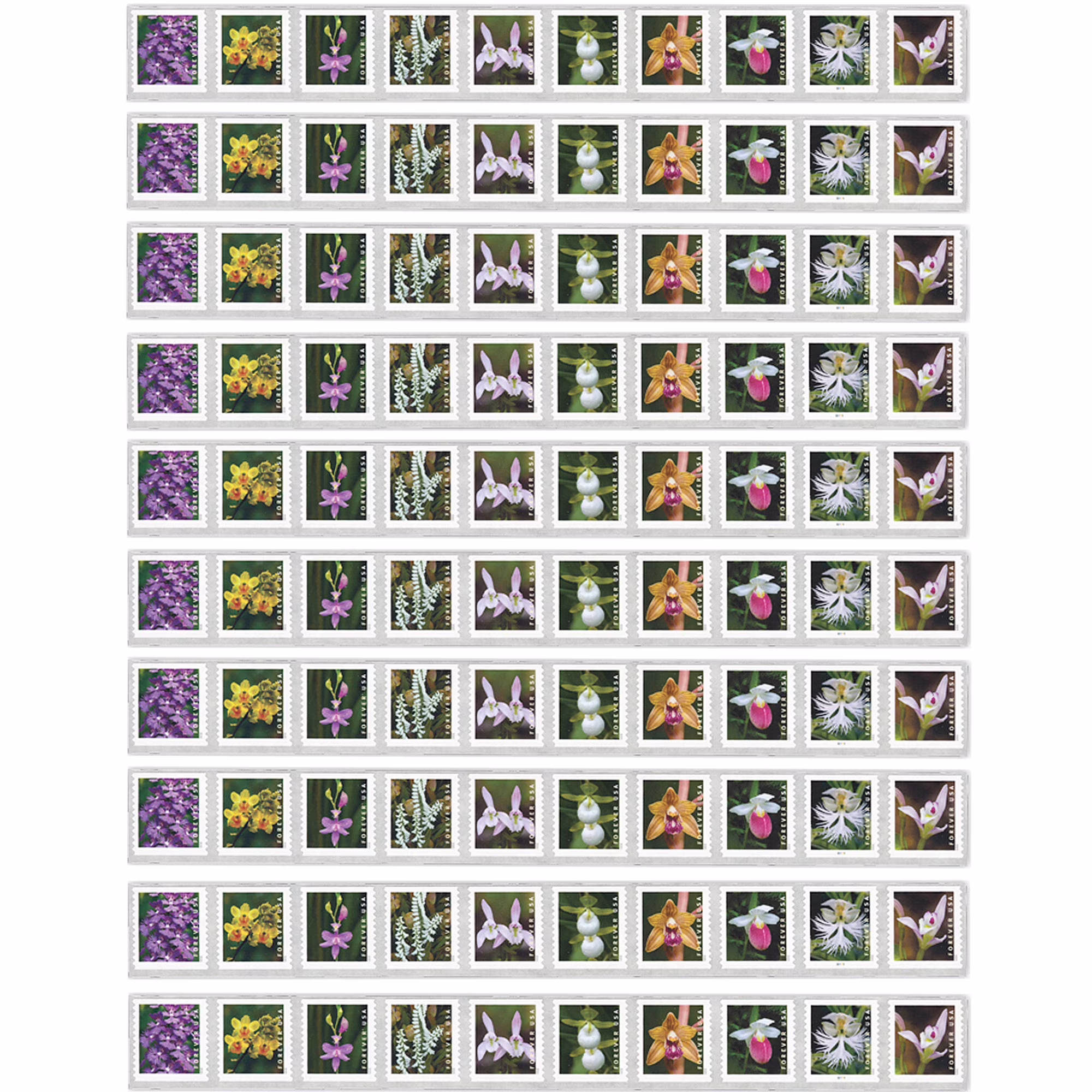 Wild Orchids USPS Forever Postage Stamp Strip of 100 US First Class Postal Flower Birthday Anniversary Wedding Celebration (100 Stamps)