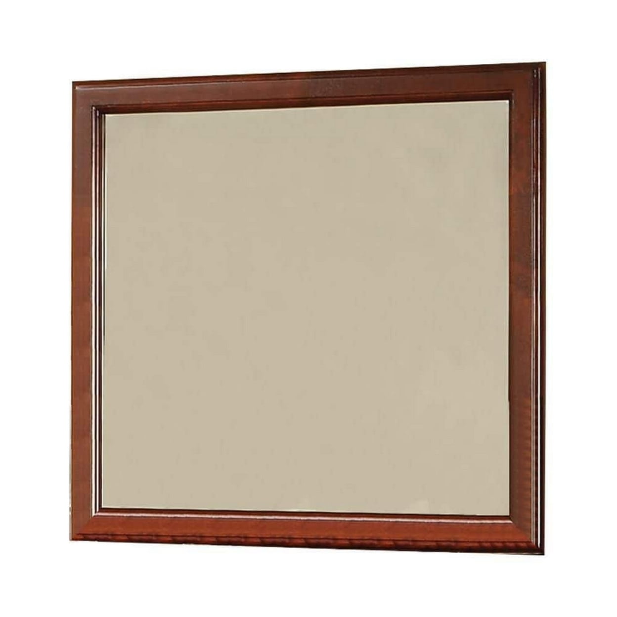 ACME Louis Philippe III Wooden Frame Mirror, Multiple Colors