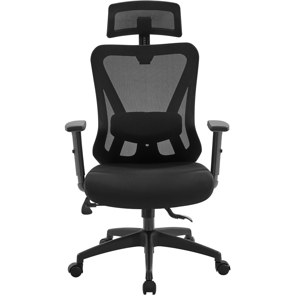 Alden Design Adult High-Back Ergonomic Mesh Office Chair with Adjustable Headrest, Black