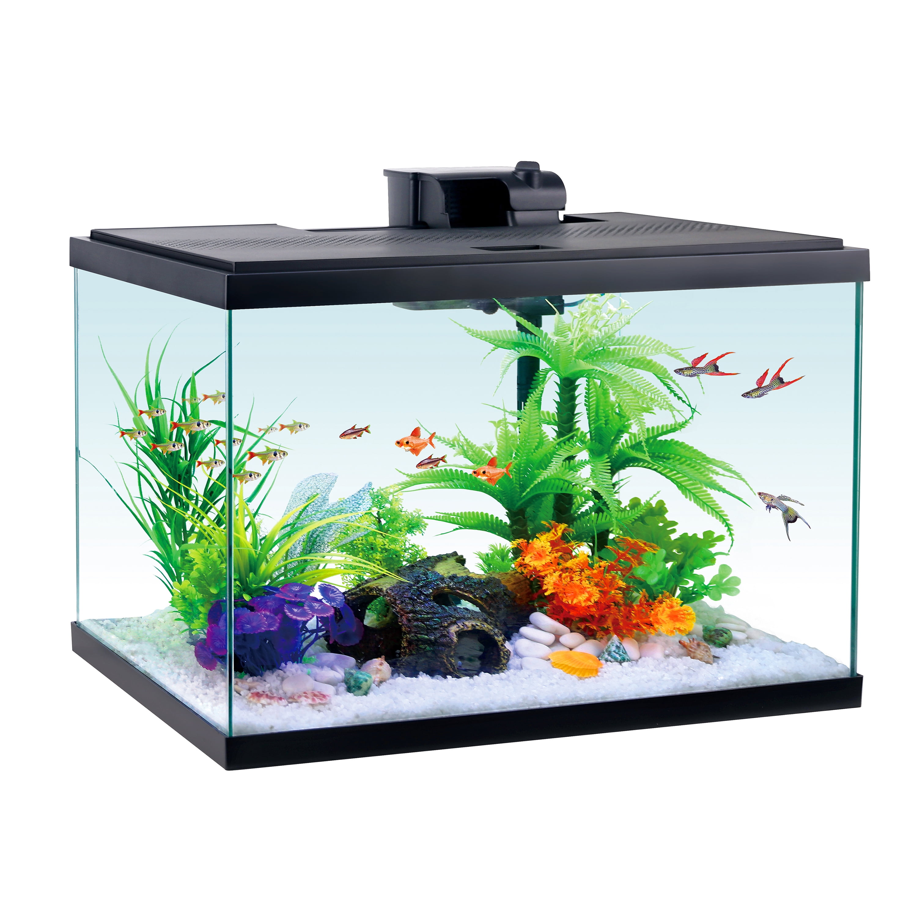 Aqua Culture Glass 20 gal Aquarium Starter Kit, Black