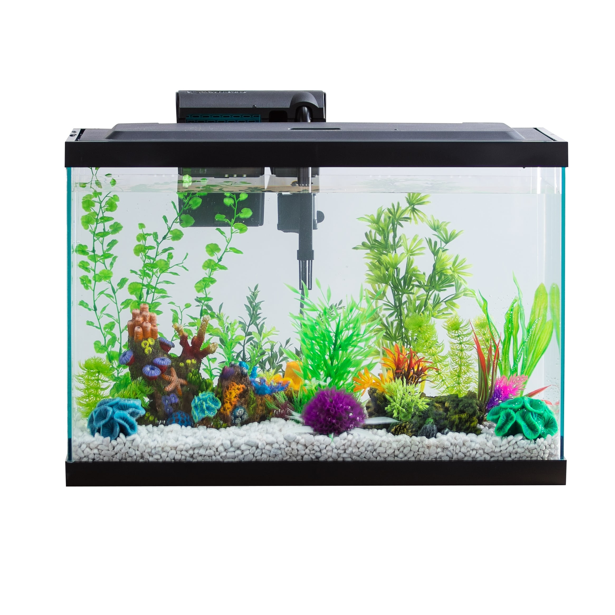 Aqua Culture 20-Gallon Plastic Aquarium Starter Kit with LED