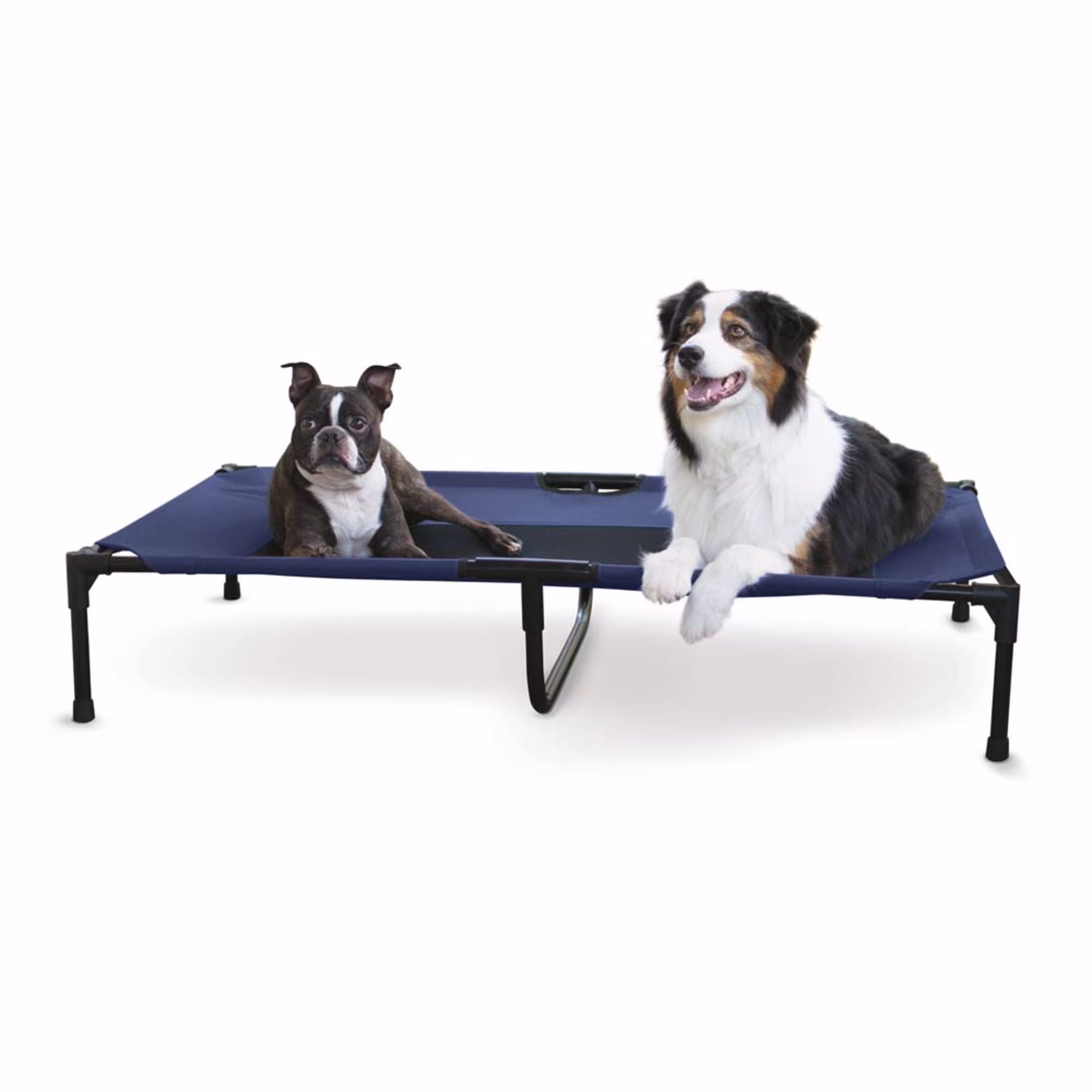 K&H Pet Products Original Pet Cot Elevated Dog Bed Blue/Black Mesh X-Large 50 X 32 X 9 Inches