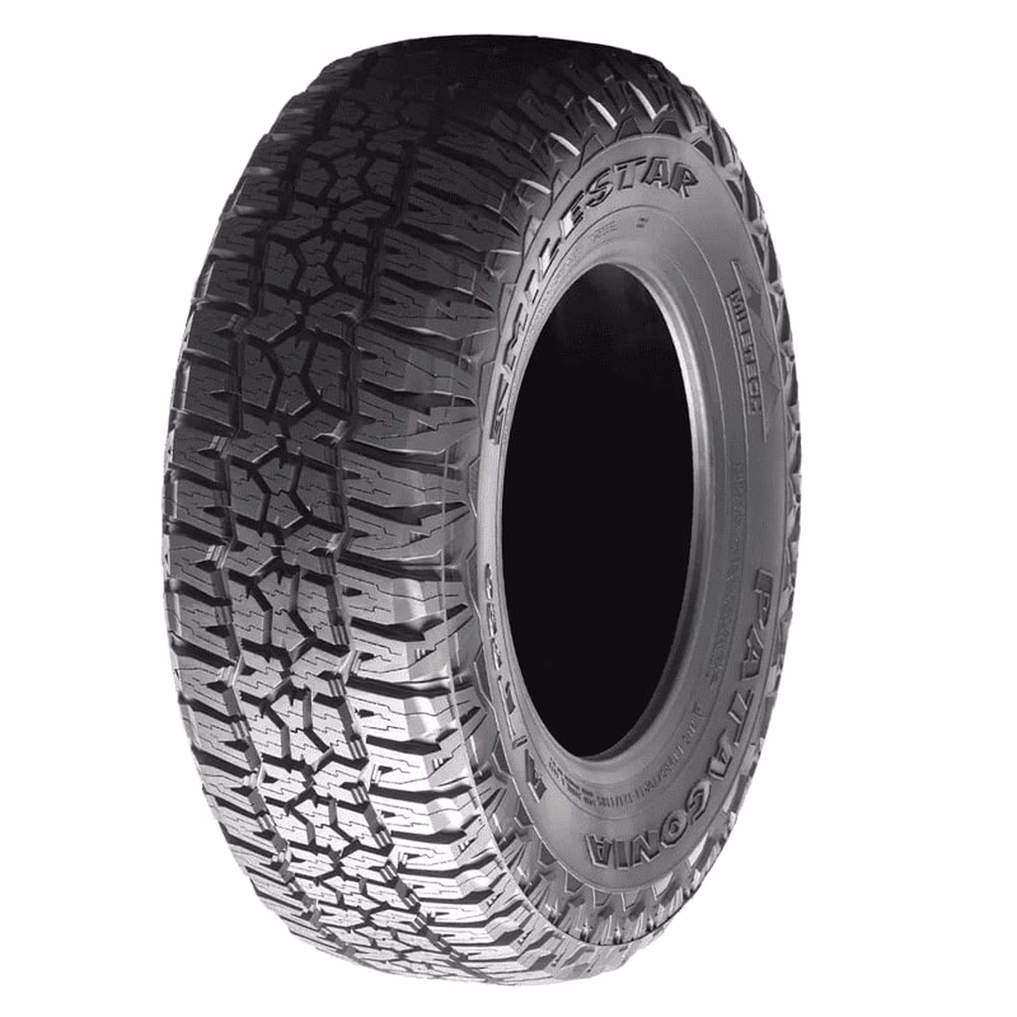 Milestar Patagonia A/T Pro All Terrain LT315/70R17 121/118S E SUV/Crossover Tire