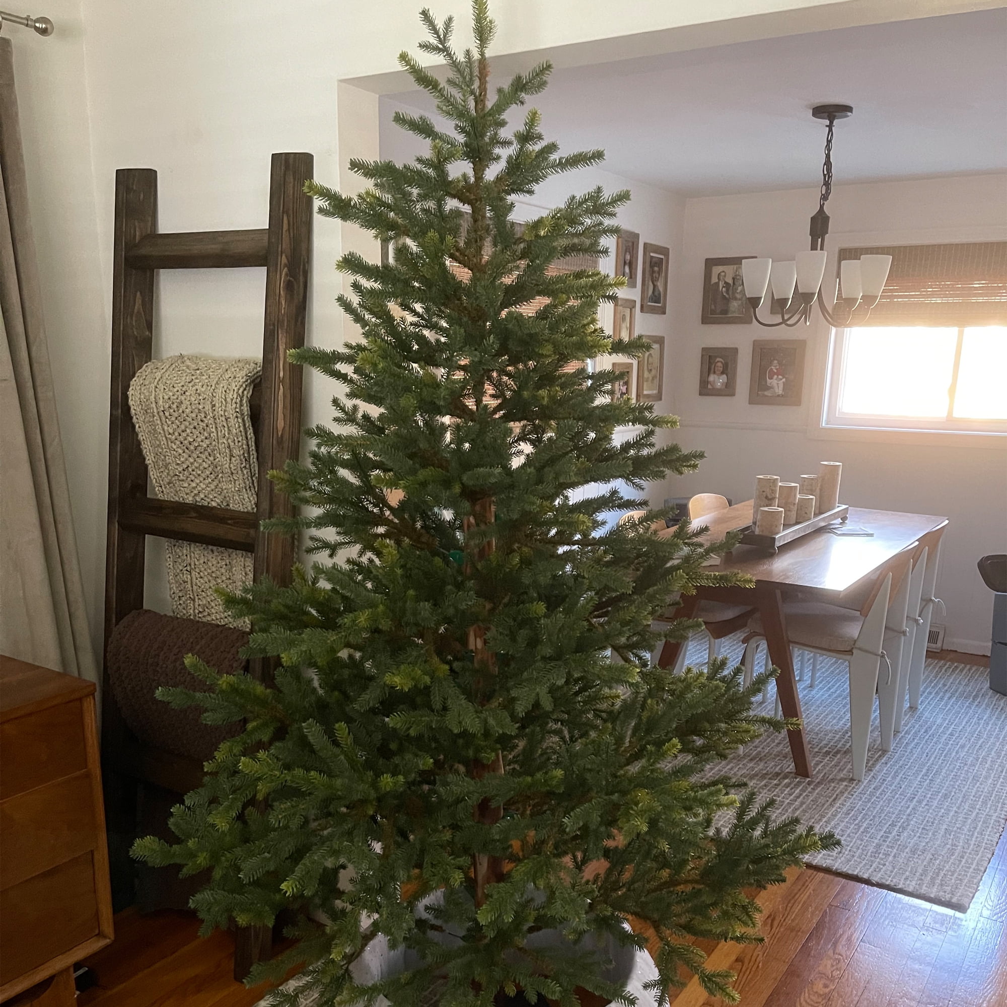 Northlight Real Touch™️ Full Northern Pine Artificial Christmas Tree - 6.5' - Unlit