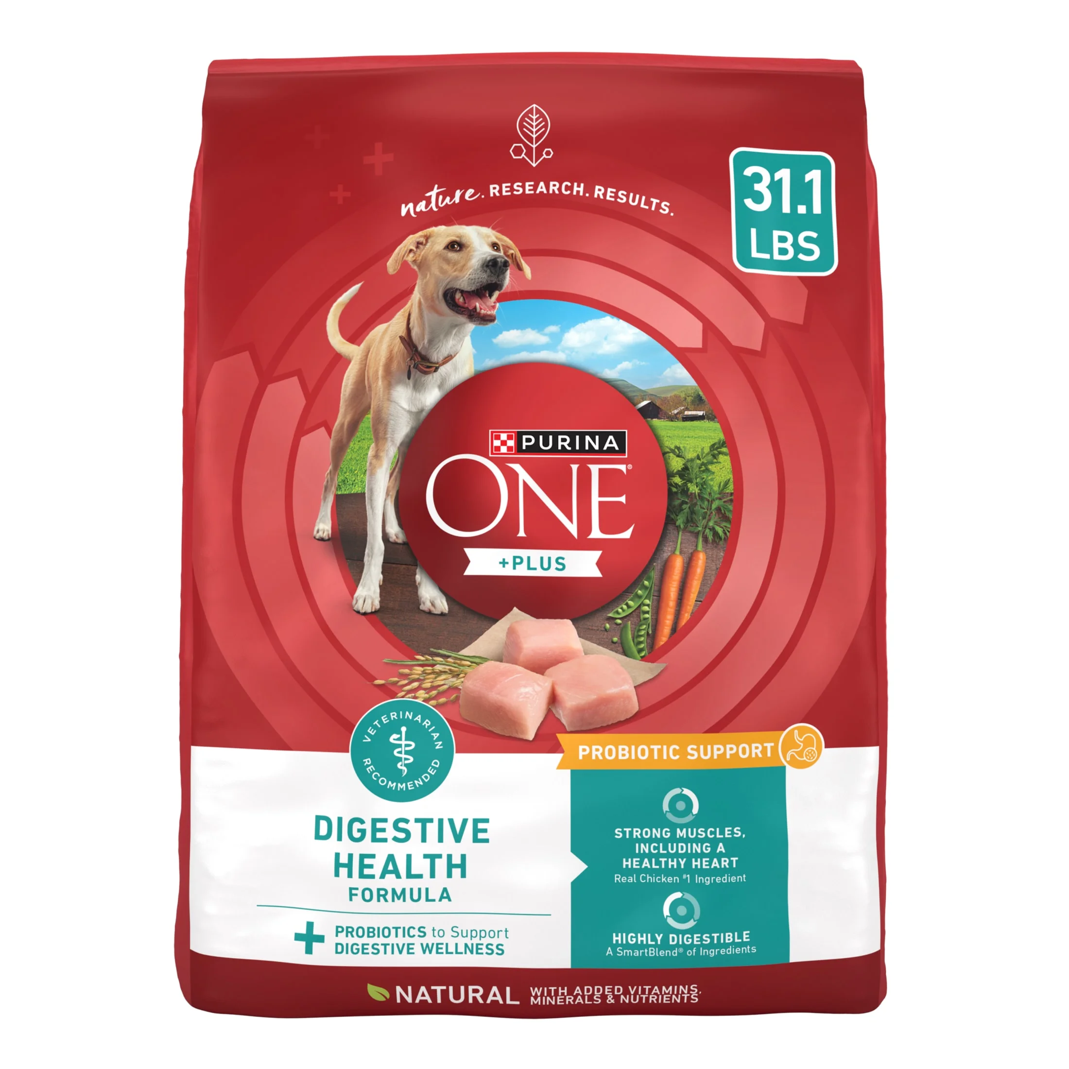 Purina ONE Plus Digestive Health Dry Dog Food for Adults, High Protein Chicken, 31.1 lb Bag