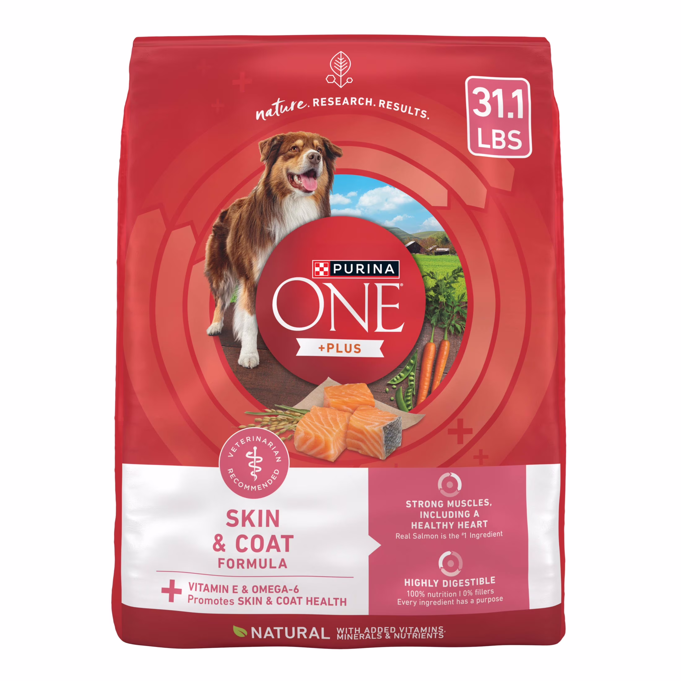 Purina ONE Plus Dry Dog Food Skin & Health Formula, High Protein Rich Natural Salmon, 31.1 lb Bag