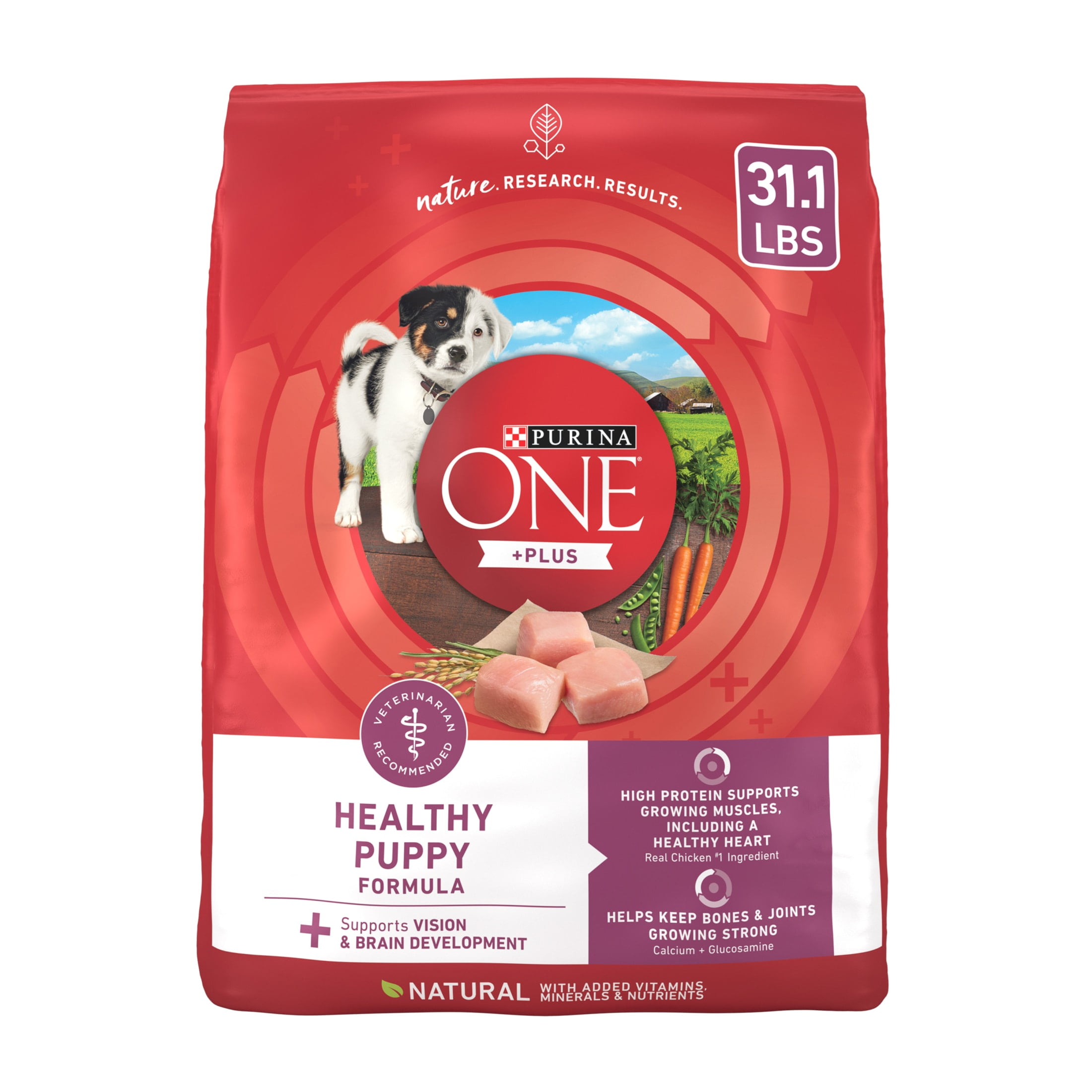 Purina ONE Plus Healthy Puppy Dry Dog Food, High Protein Growth Support Real Chicken, 31.1 lb Bag