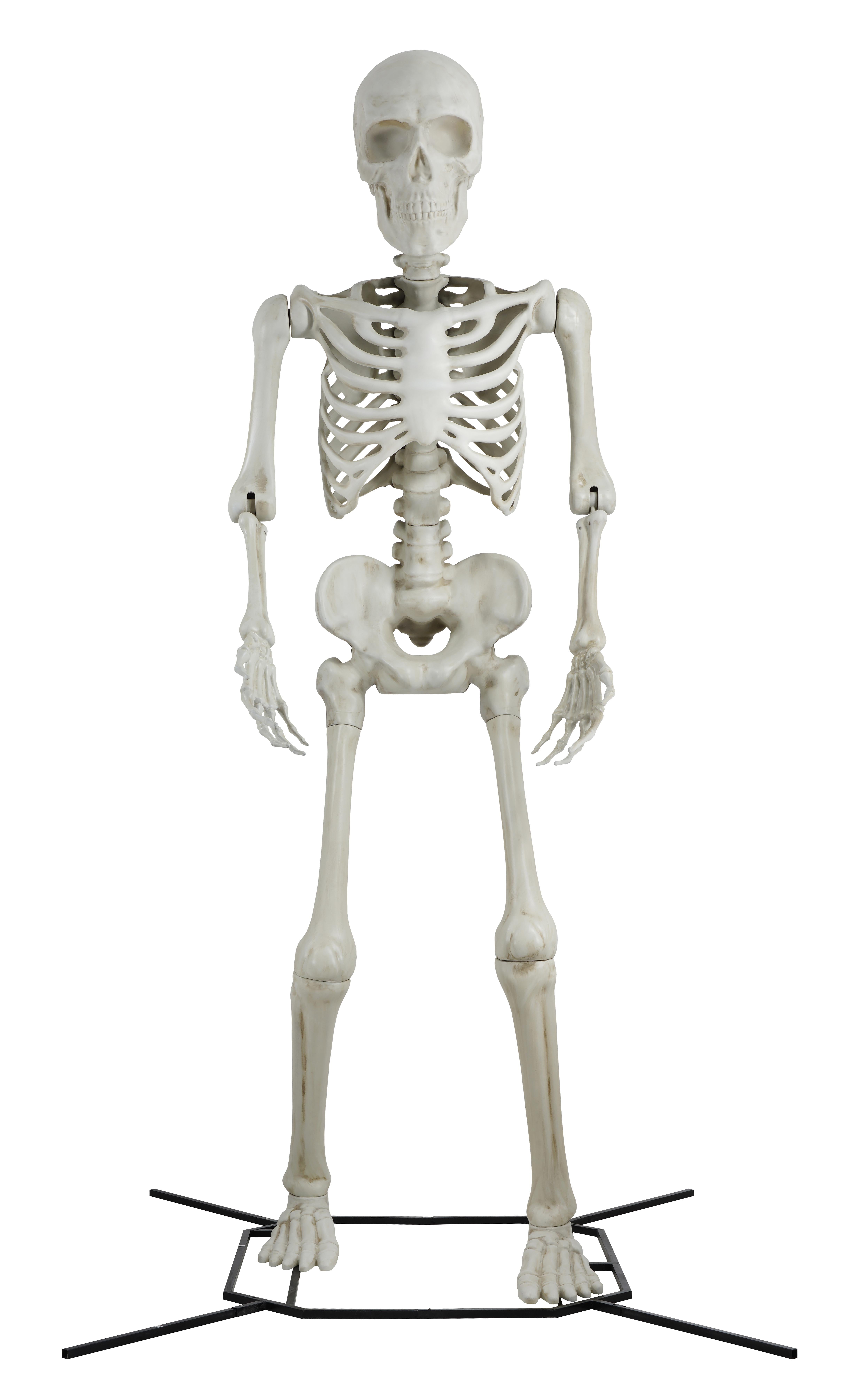 Steve the Poseable 10' Skeleton Decoration by Way To Celebrate