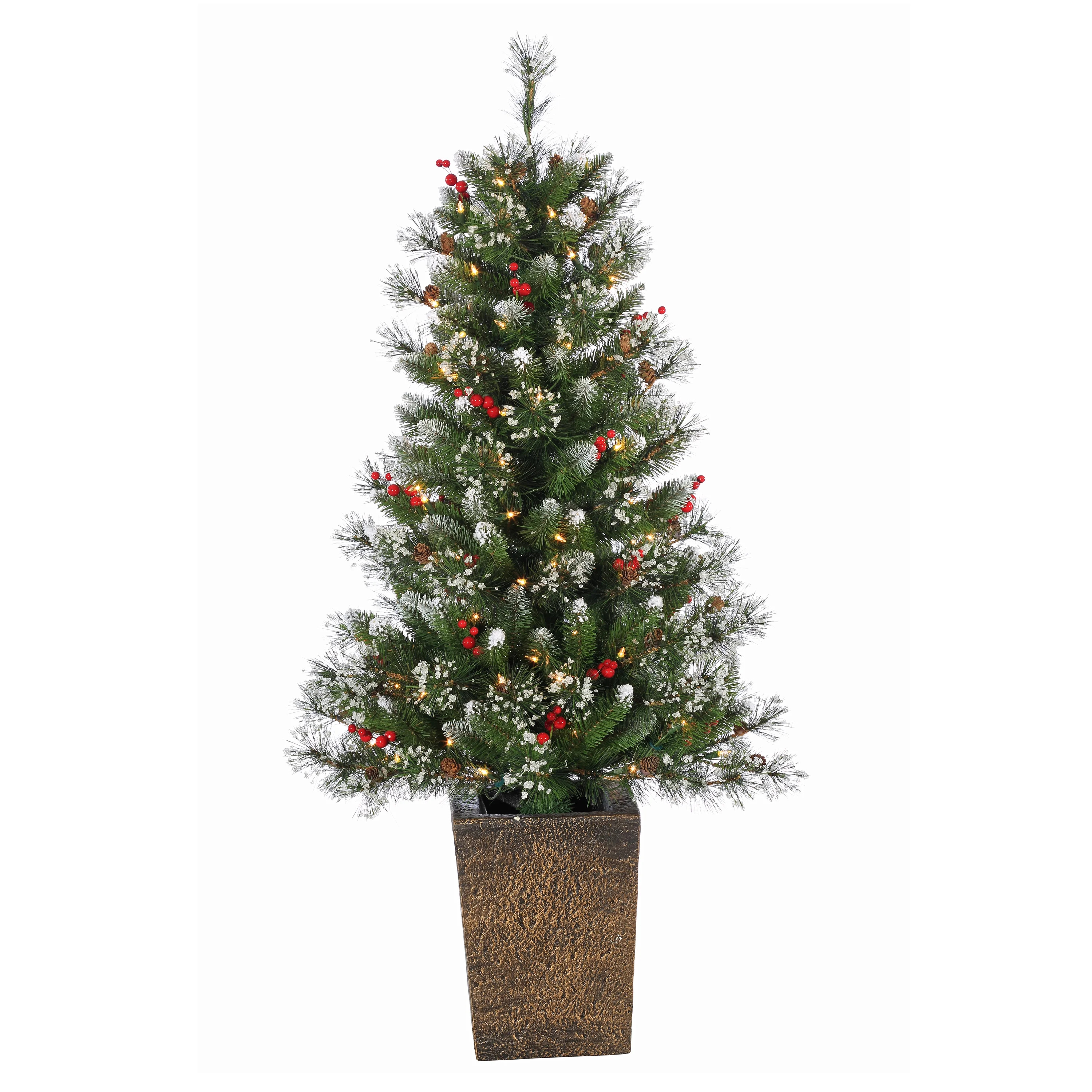 Sterling 4 ft. Pre Lit Clear UL Potted Hard Needle Glazier Pine Tree