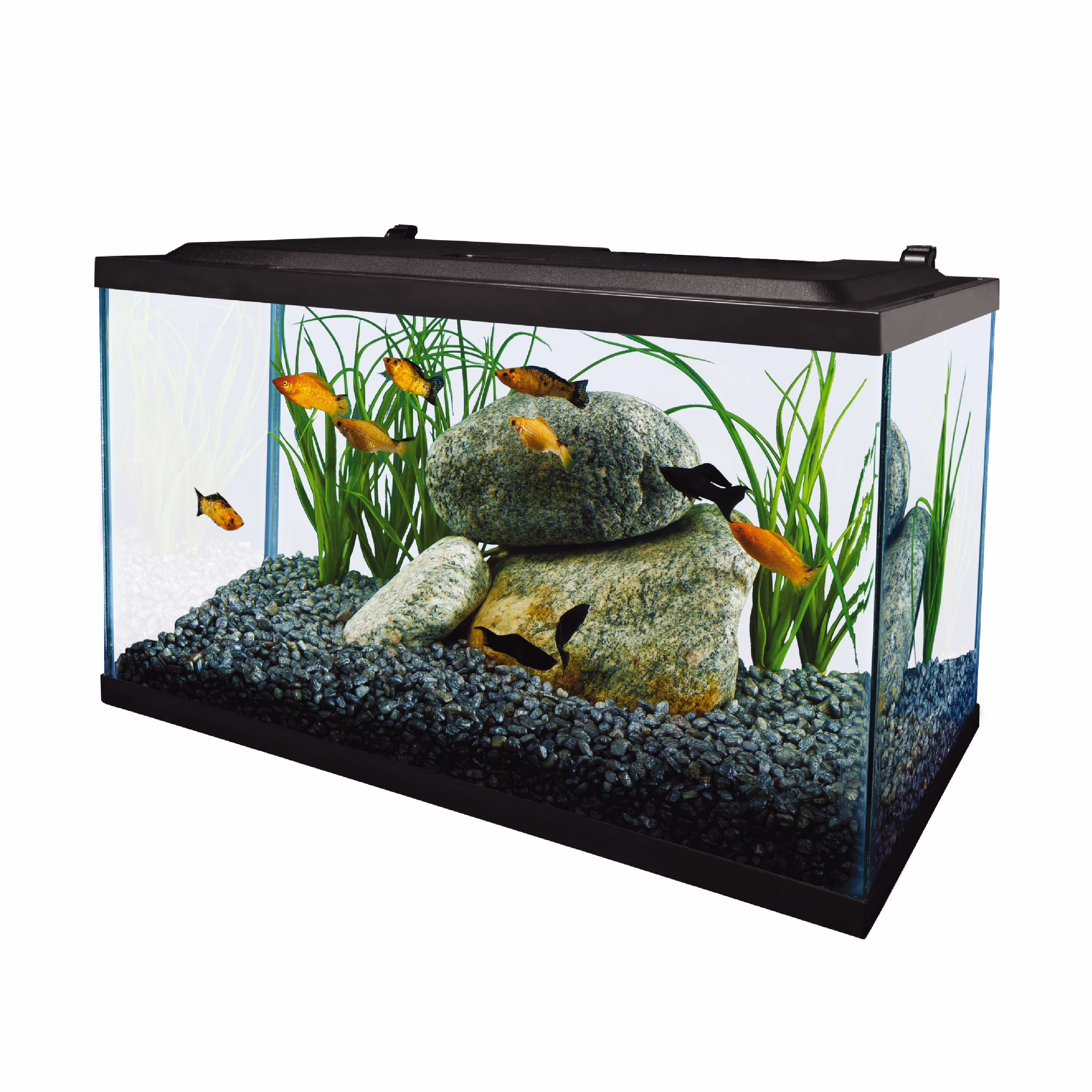 Tetra 10 Gallon Glass LED Aquarium Kit