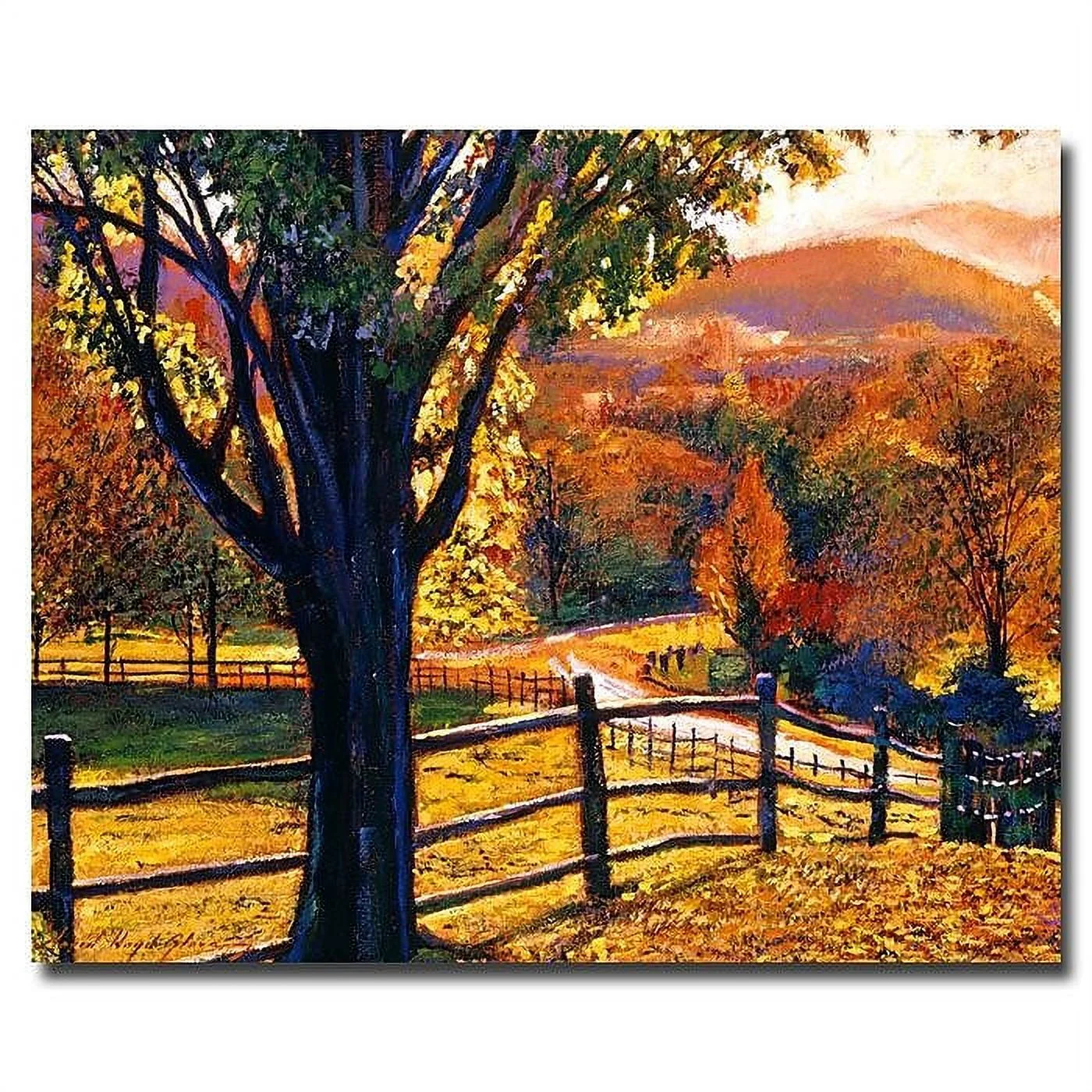 Trademark Art "Autumn Fire Colors" Canvas Wall Art by David Lloyd Glover