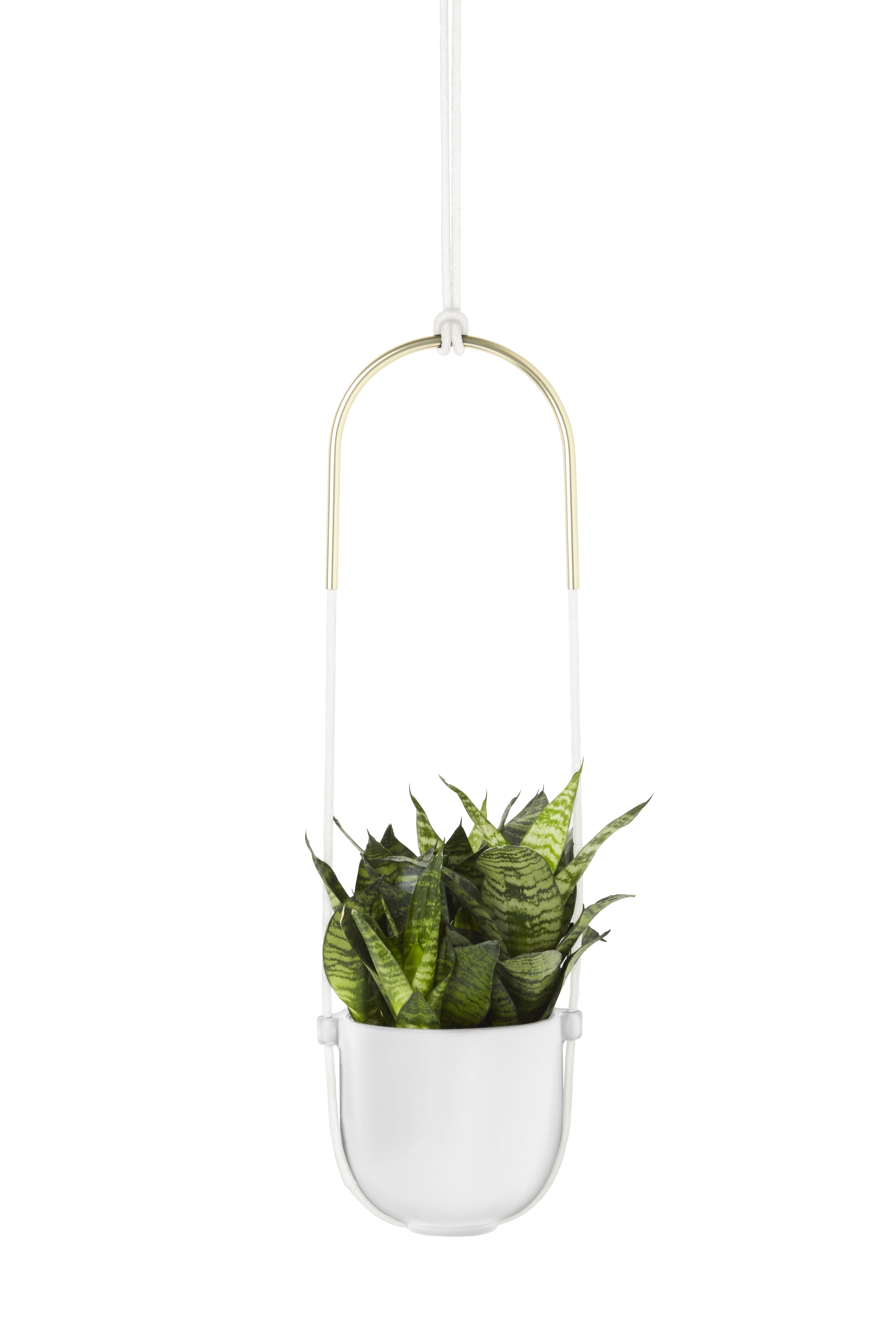 Umbra Bolo Ceramic Hanging Wall Planter White