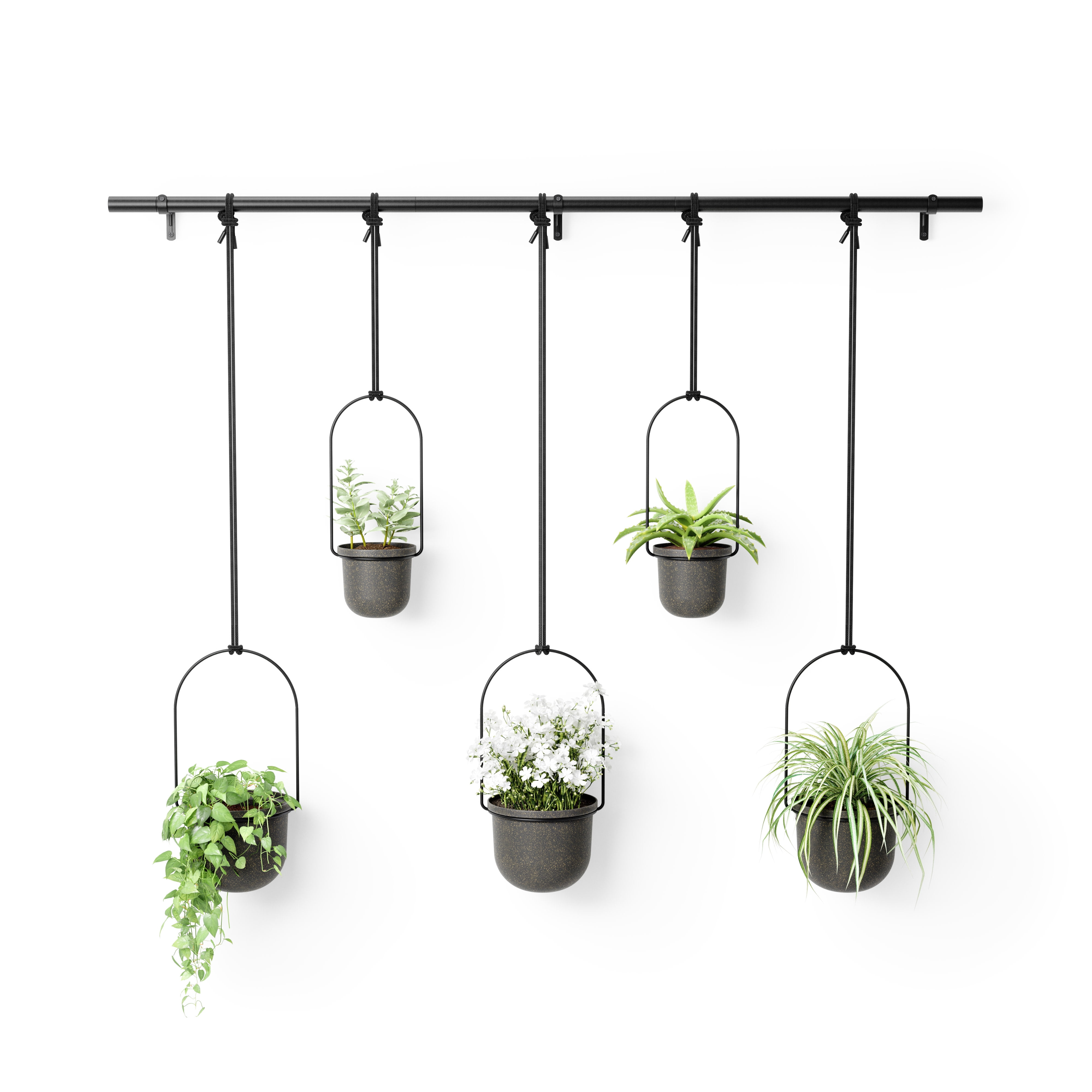 Umbra Triflora Hanging Planter Set of 5 Black