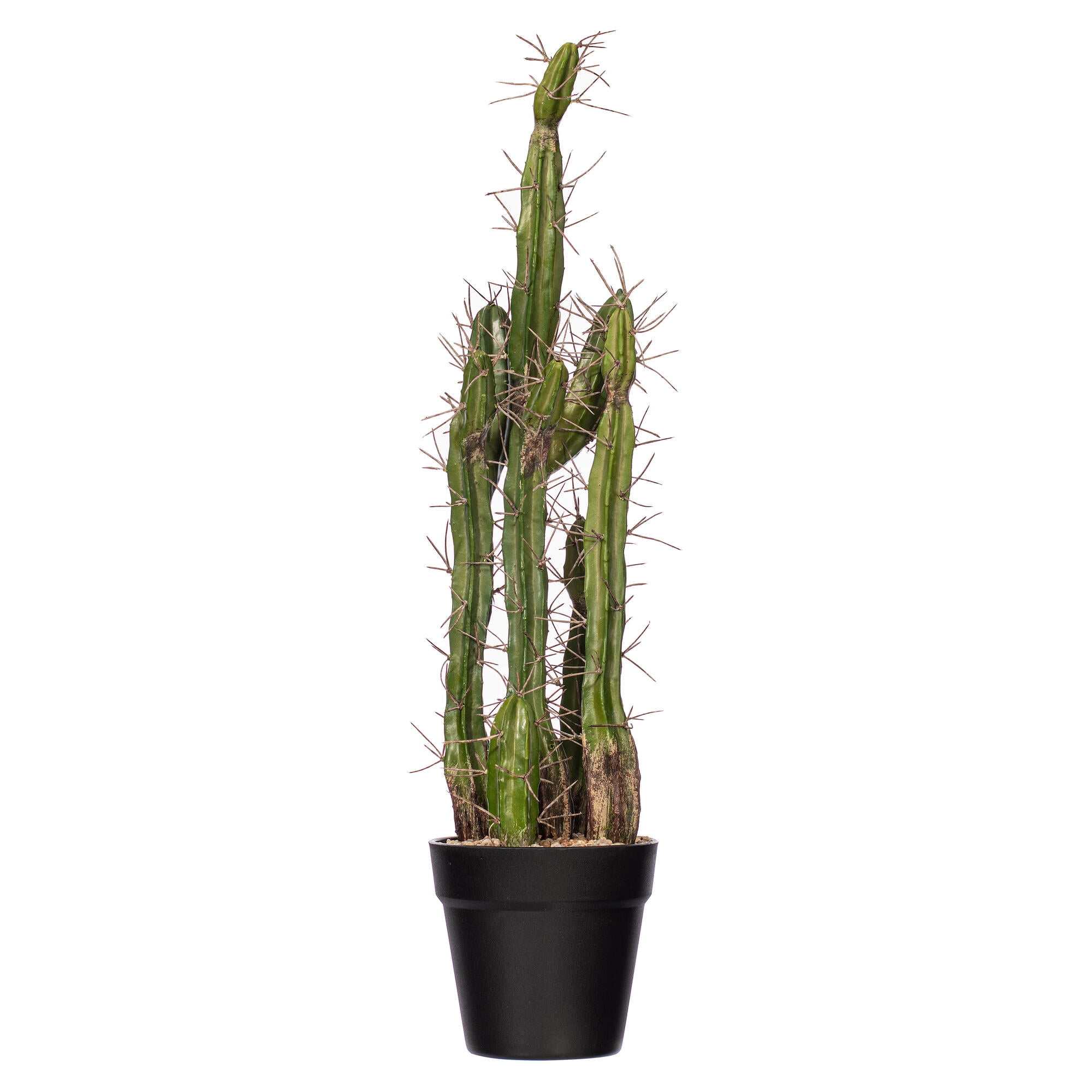 Vickerman 24" Artificial Green Cactus, Black Plastic Planters Pot.
